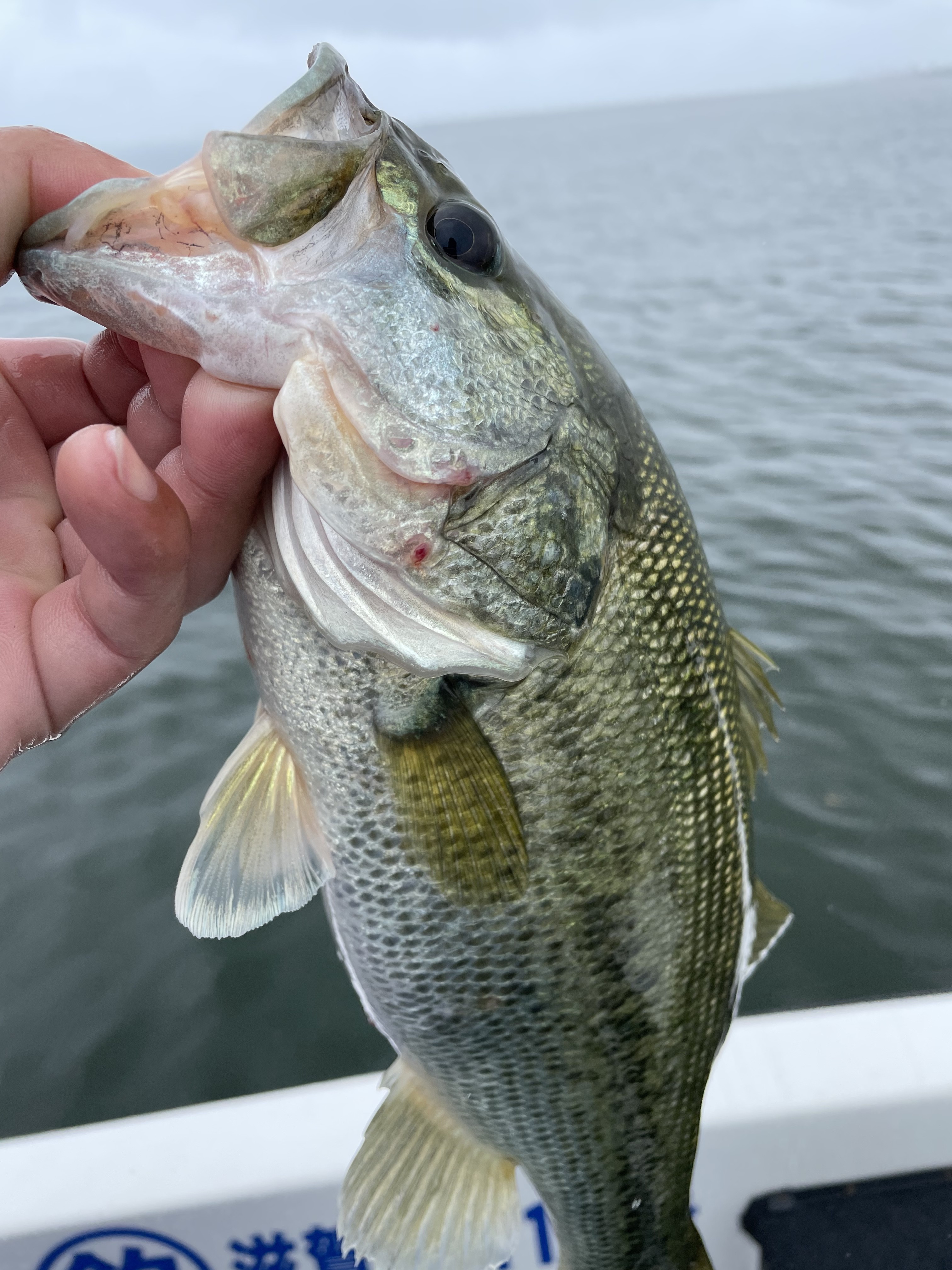 691D4840-063F-447F-A94A-06B44D61C2FE