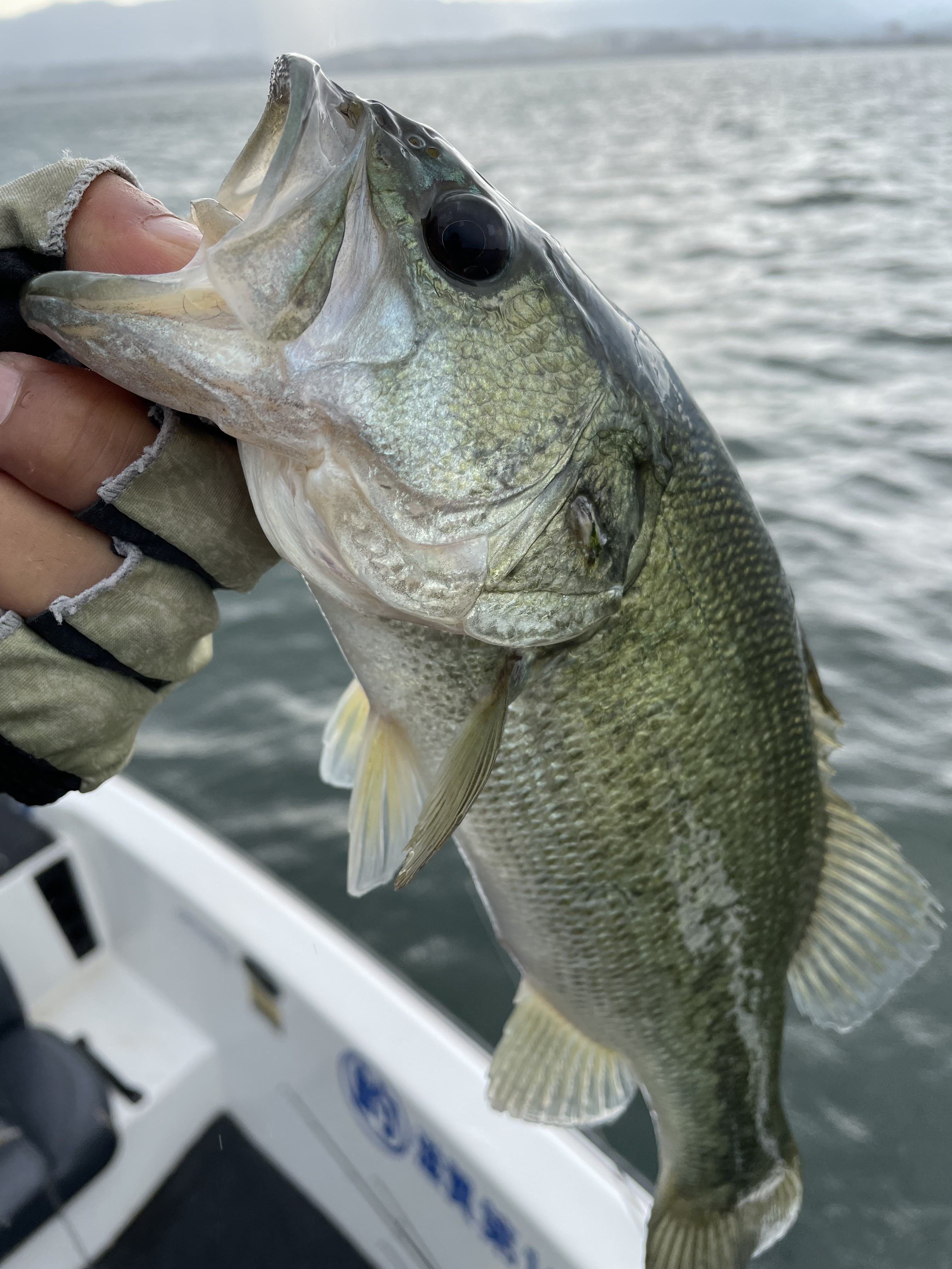 6B4AE68C-74FA-4781-B55D-686779D7FBFC