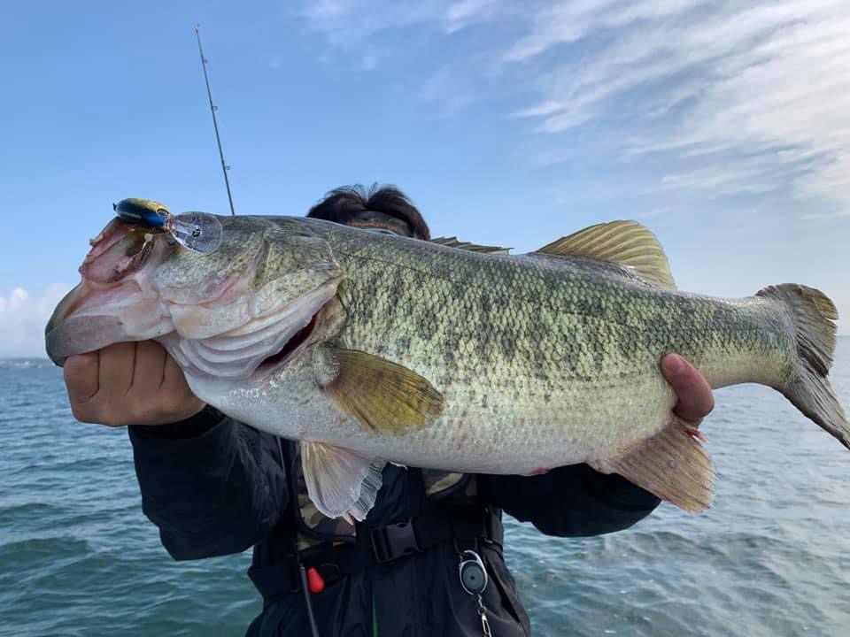 70E9B051-8AD8-4926-93A7-4D2FDBD3DF8A