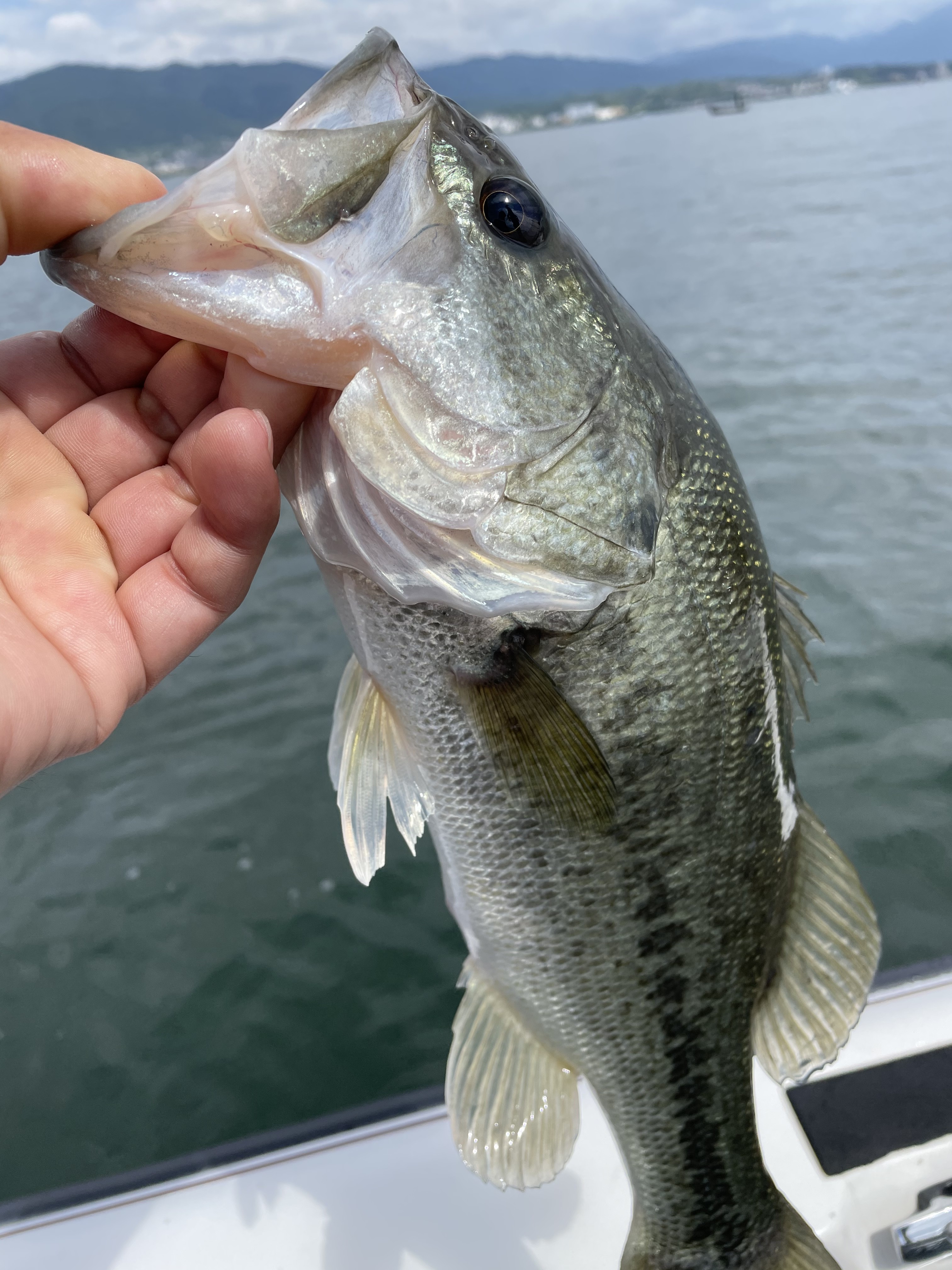 713EE789-19F9-4DCC-BA9A-EBAA165C57A1