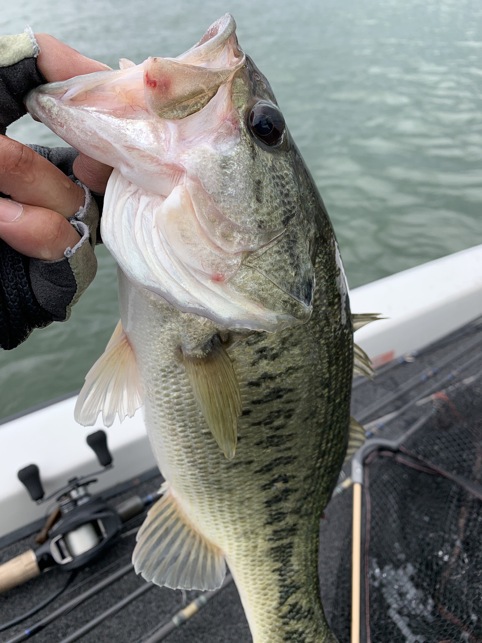 7229ED54-0351-48B2-B0D5-CD23C9200BCF