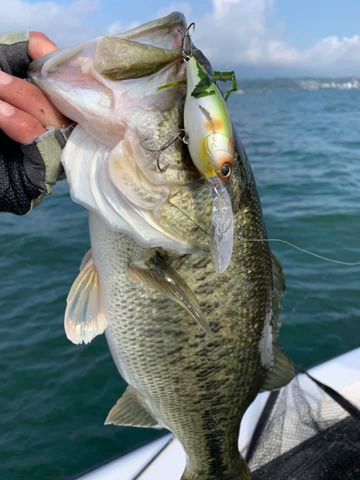 798B28E1-DC95-4FC0-971A-C270C158F55D