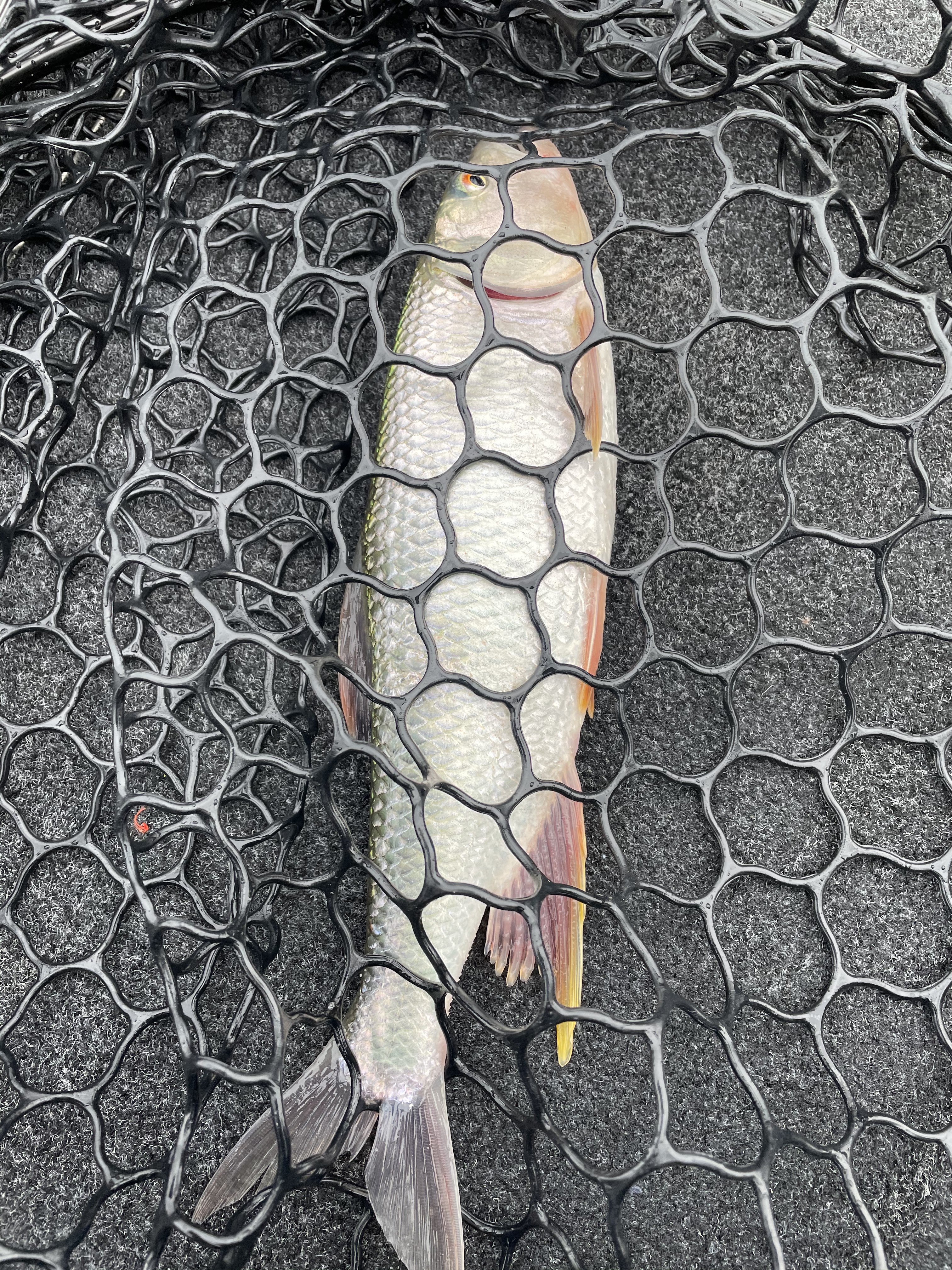 83EADC4E-B1CB-4F90-B147-39497C5ED7FB