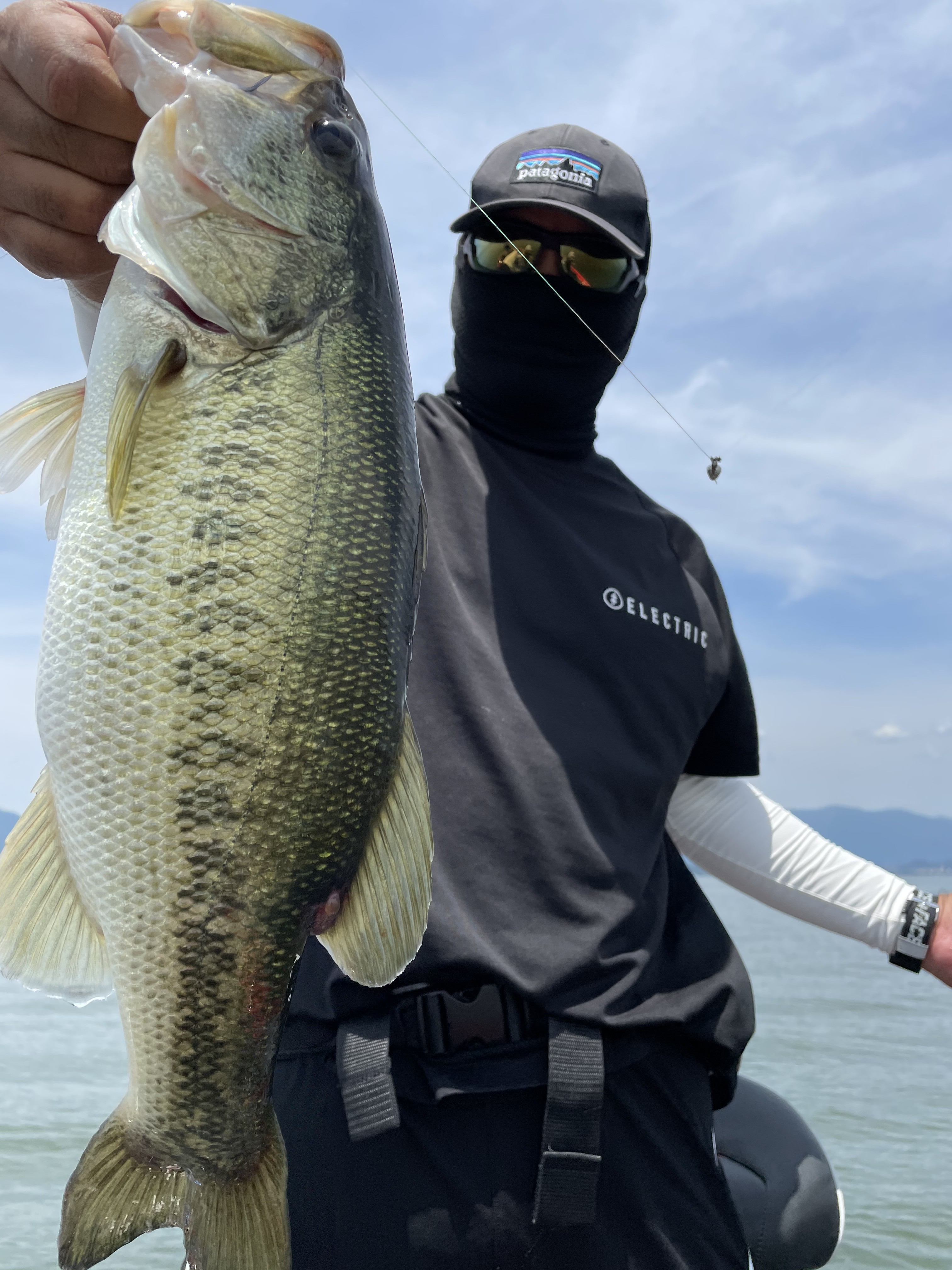 87E8A058-2D52-481B-929F-167C65CCE1E4