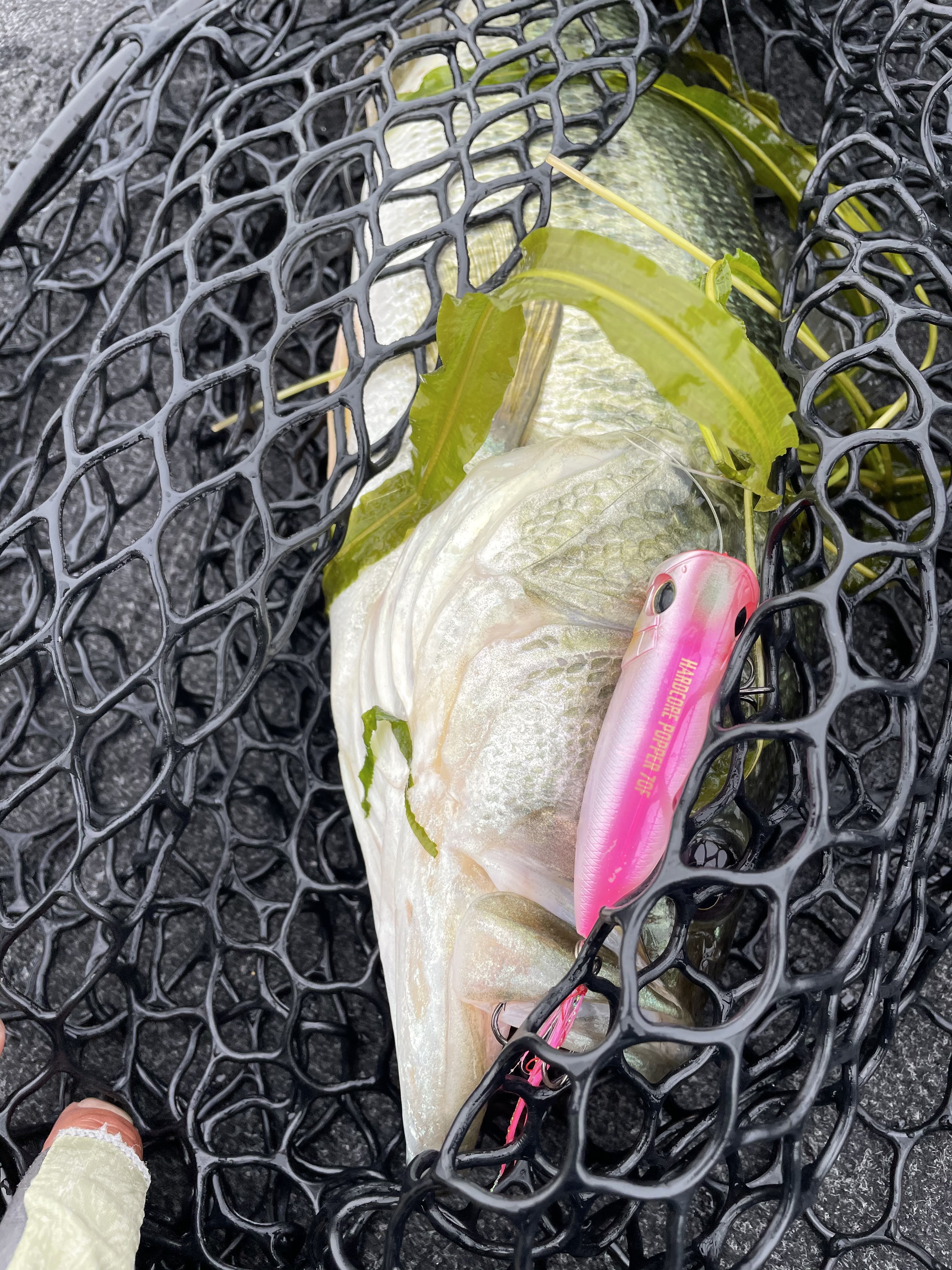 8886CD77-C621-4E82-9212-CD5DCE9F2921