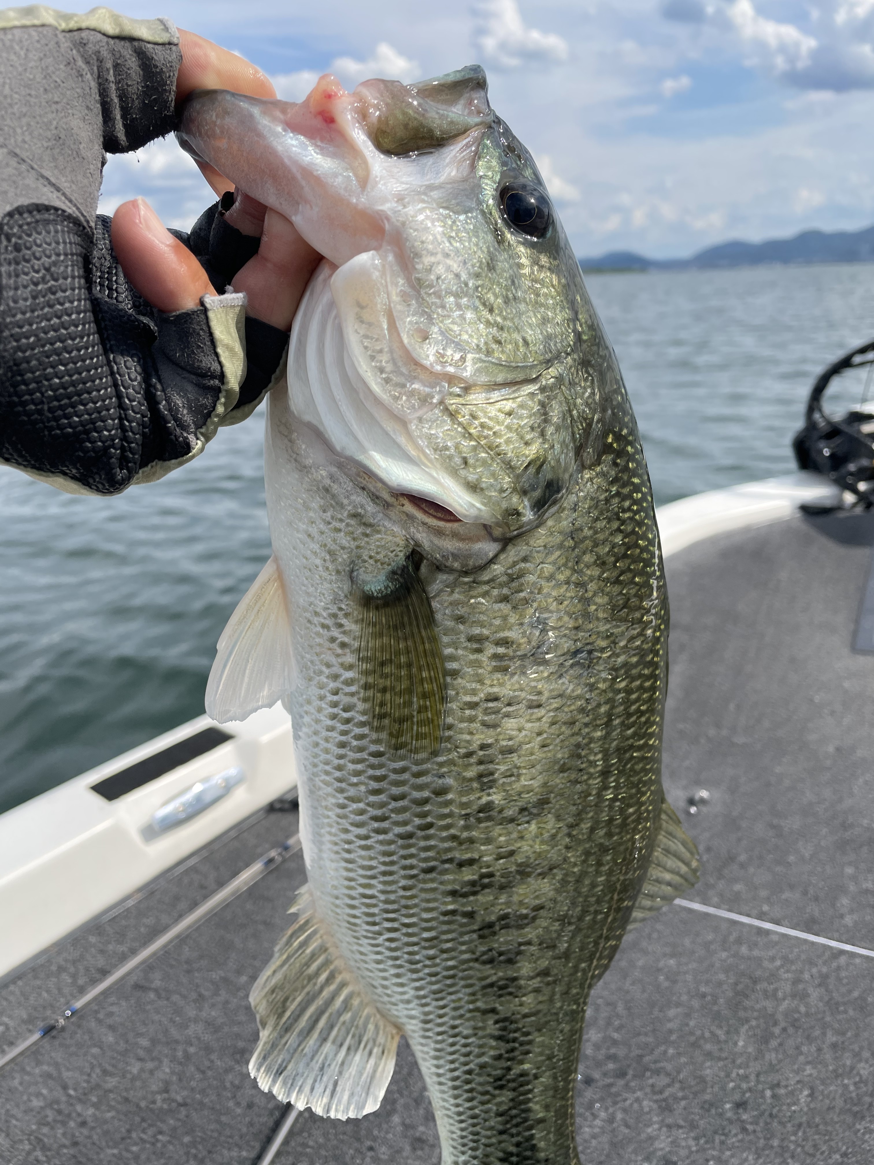 A0CCAB9D-2B1B-432C-A5F5-FD5C48D7C00F