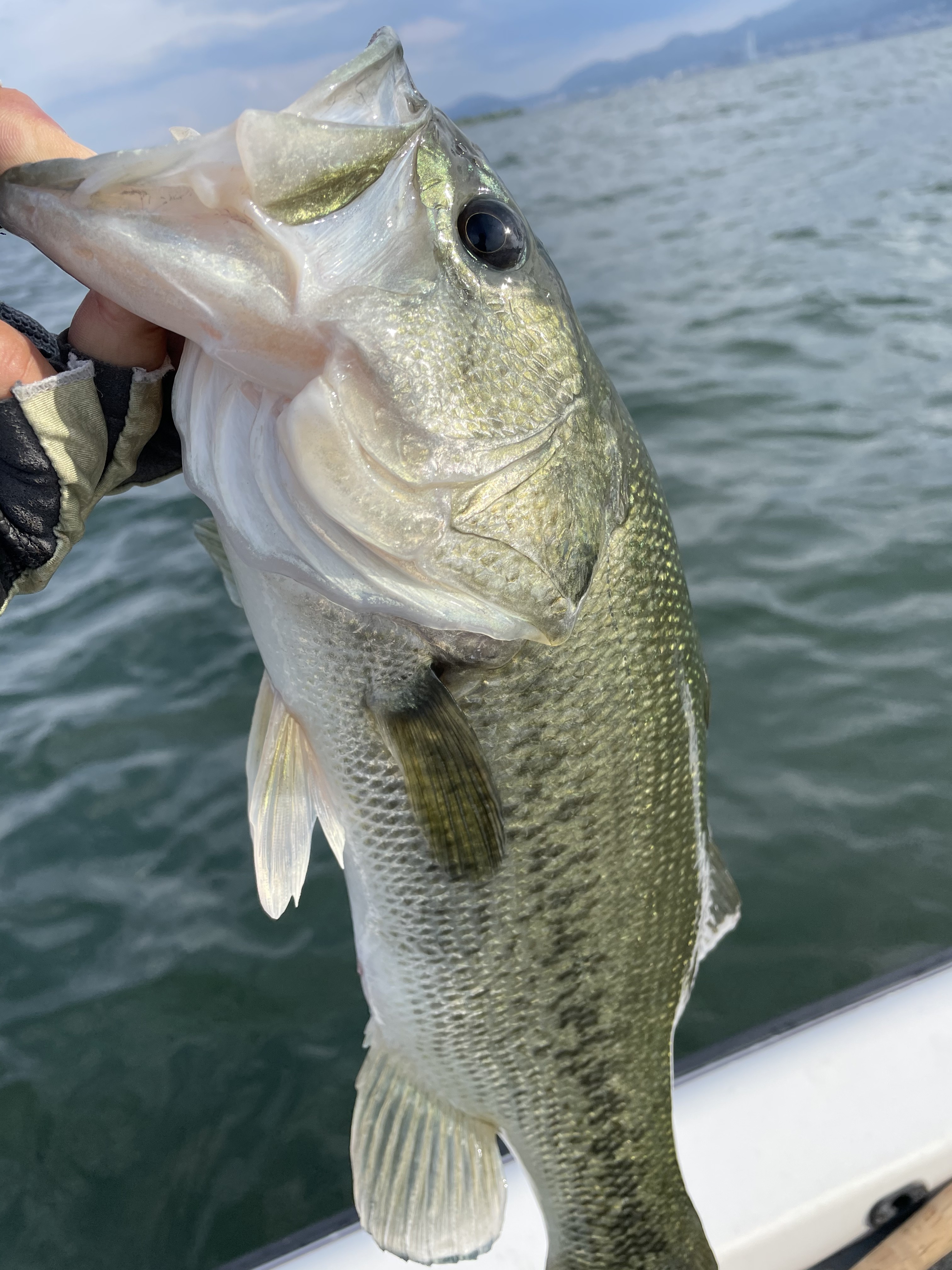 AC524A7B-D4FA-40CE-99D1-9BCBEC5ED86A