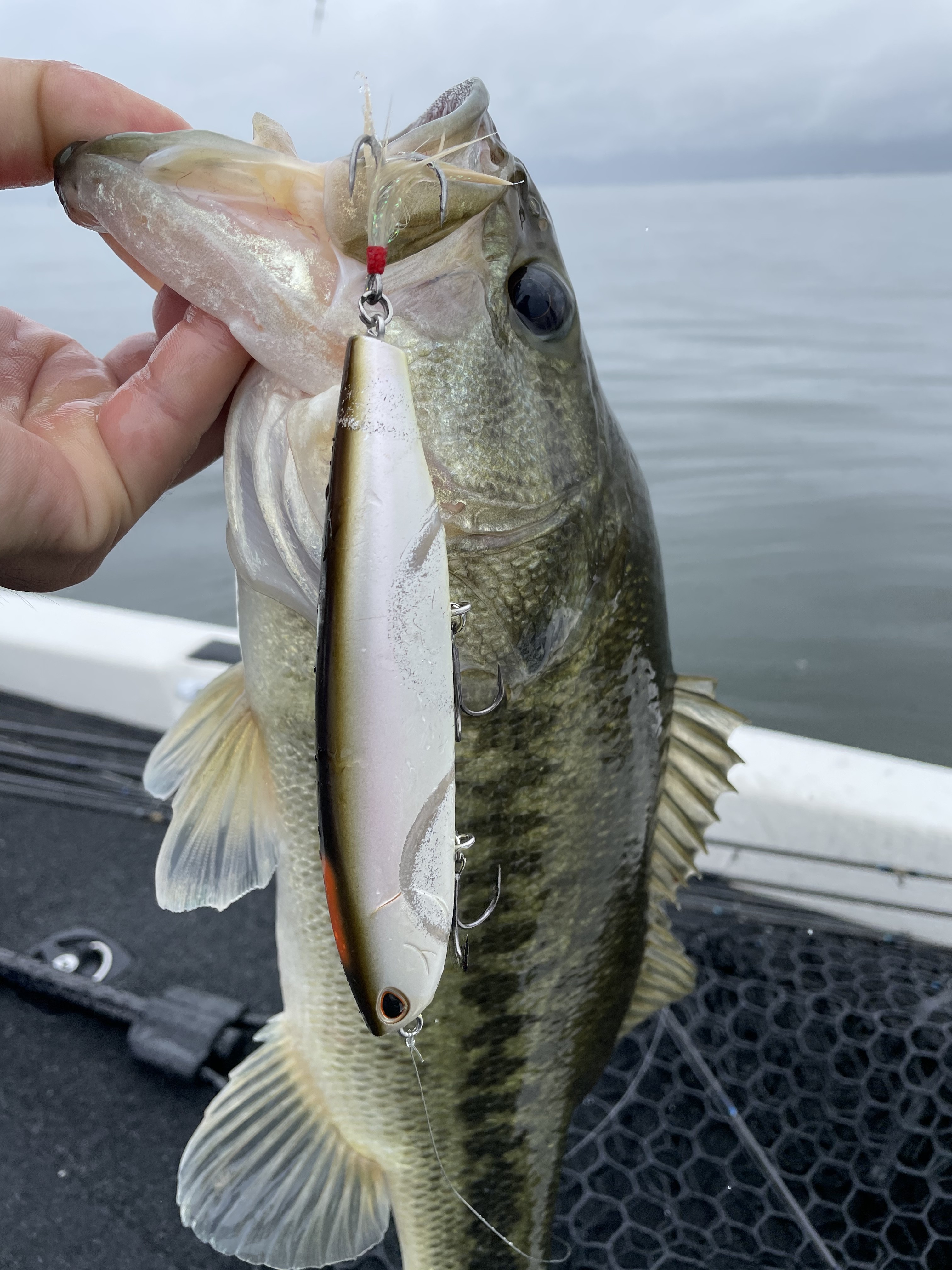 B7F13CB2-5836-4A4B-A7D8-AFC1920FABAF