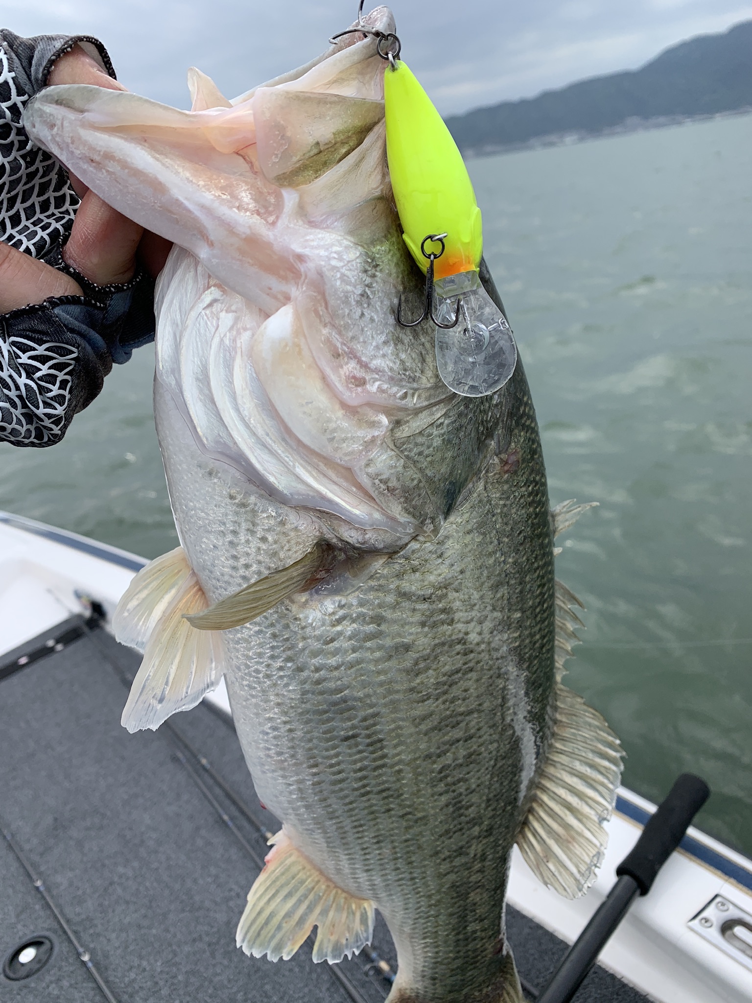 B87CCD40-A929-4D42-8F5C-4FE154F4871E