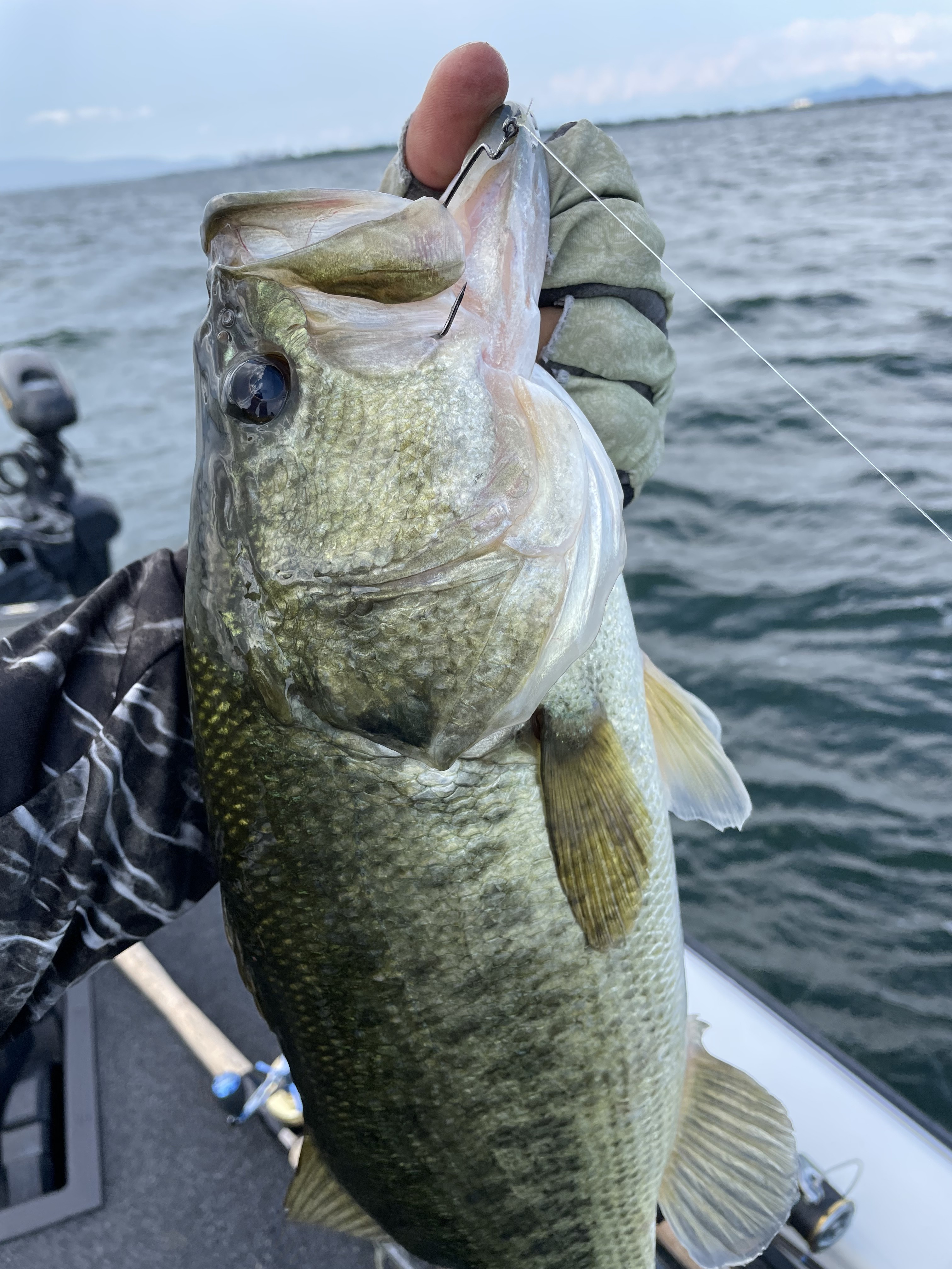 B9ED28AB-CE2F-468A-A885-2B25C8843CD8