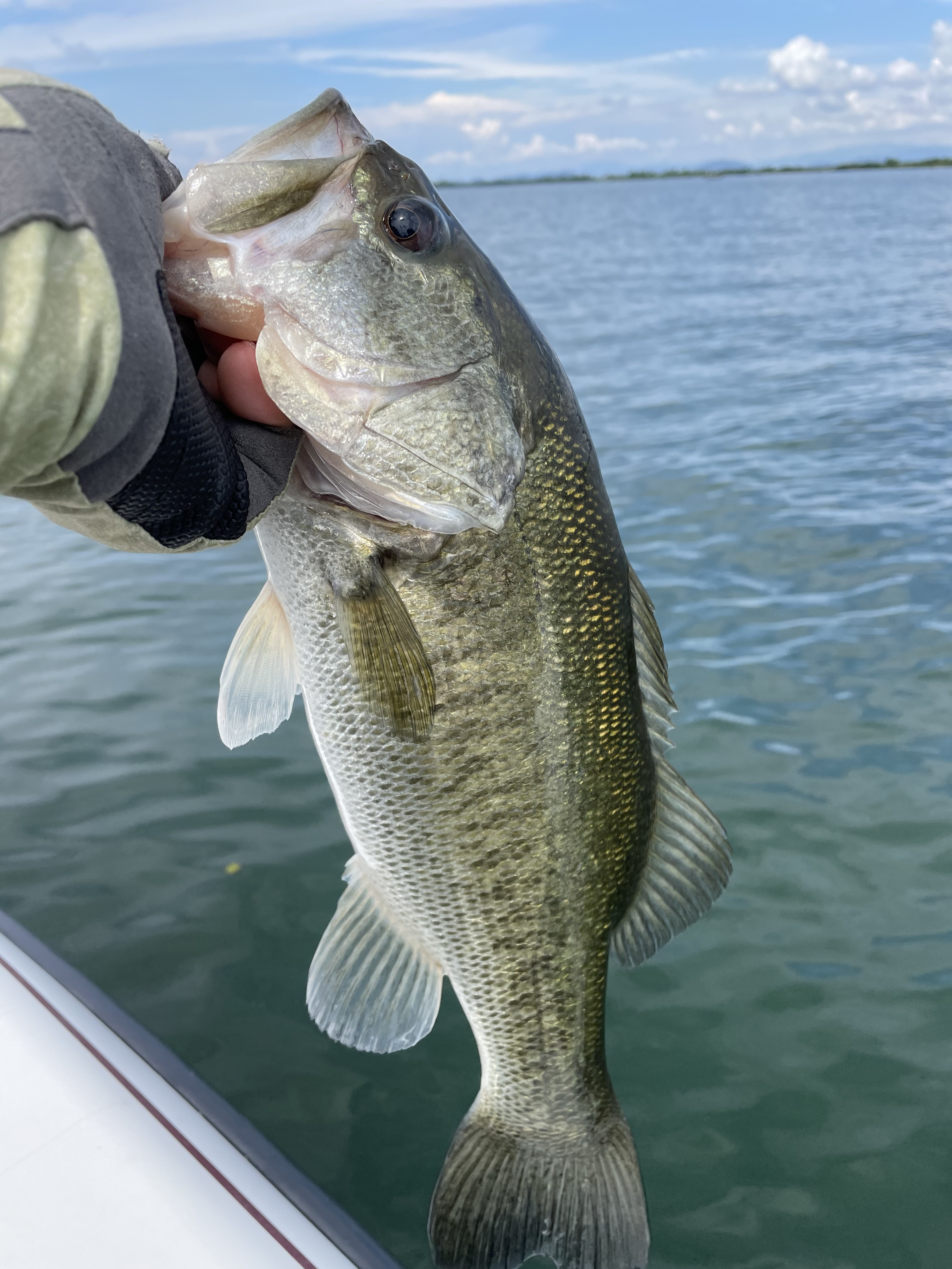 C4C218B6-71C7-4DAE-8B33-474772FCCA85