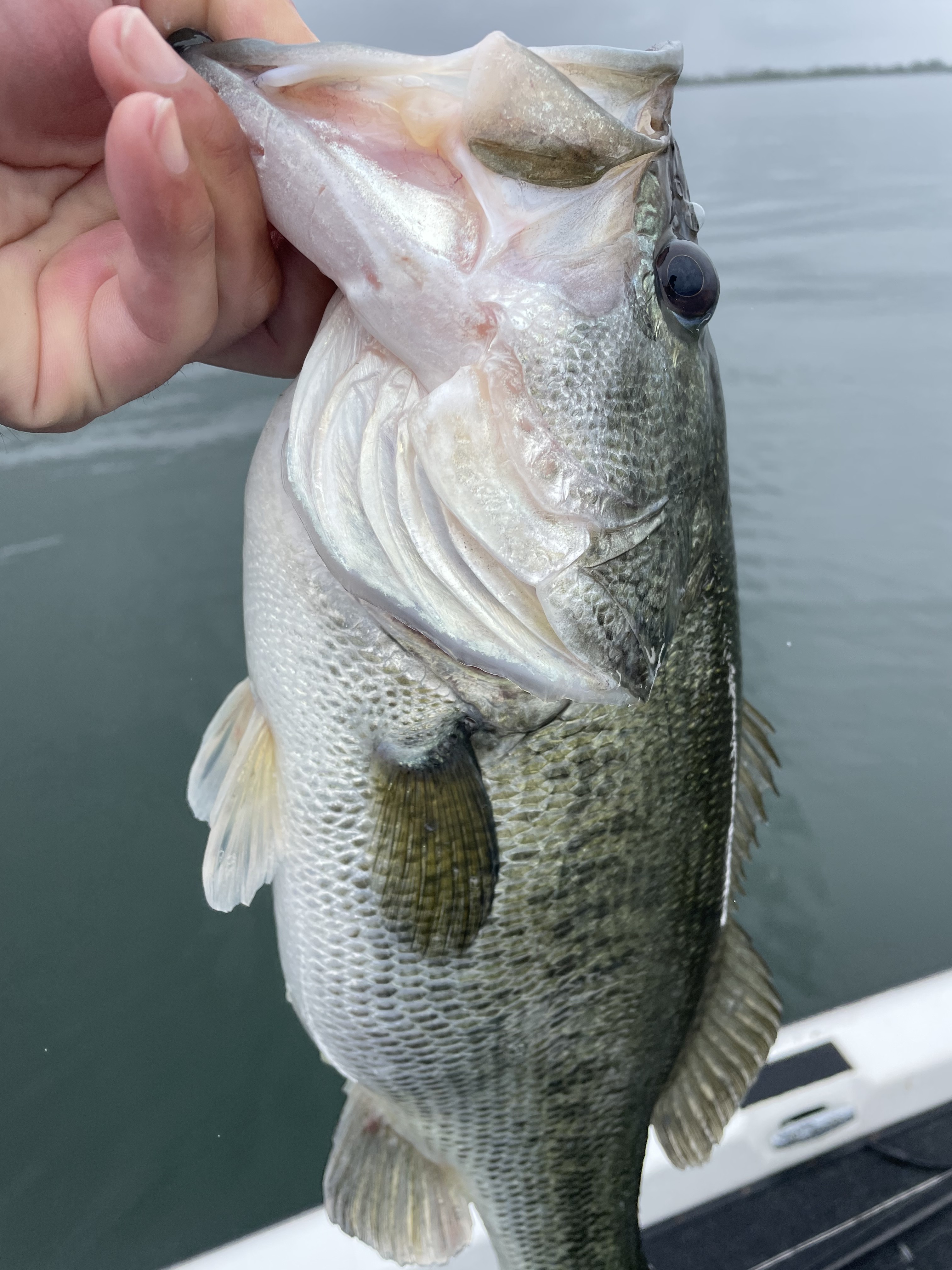 CFF1D194-D18B-4DAC-9728-B9AB27934F2C