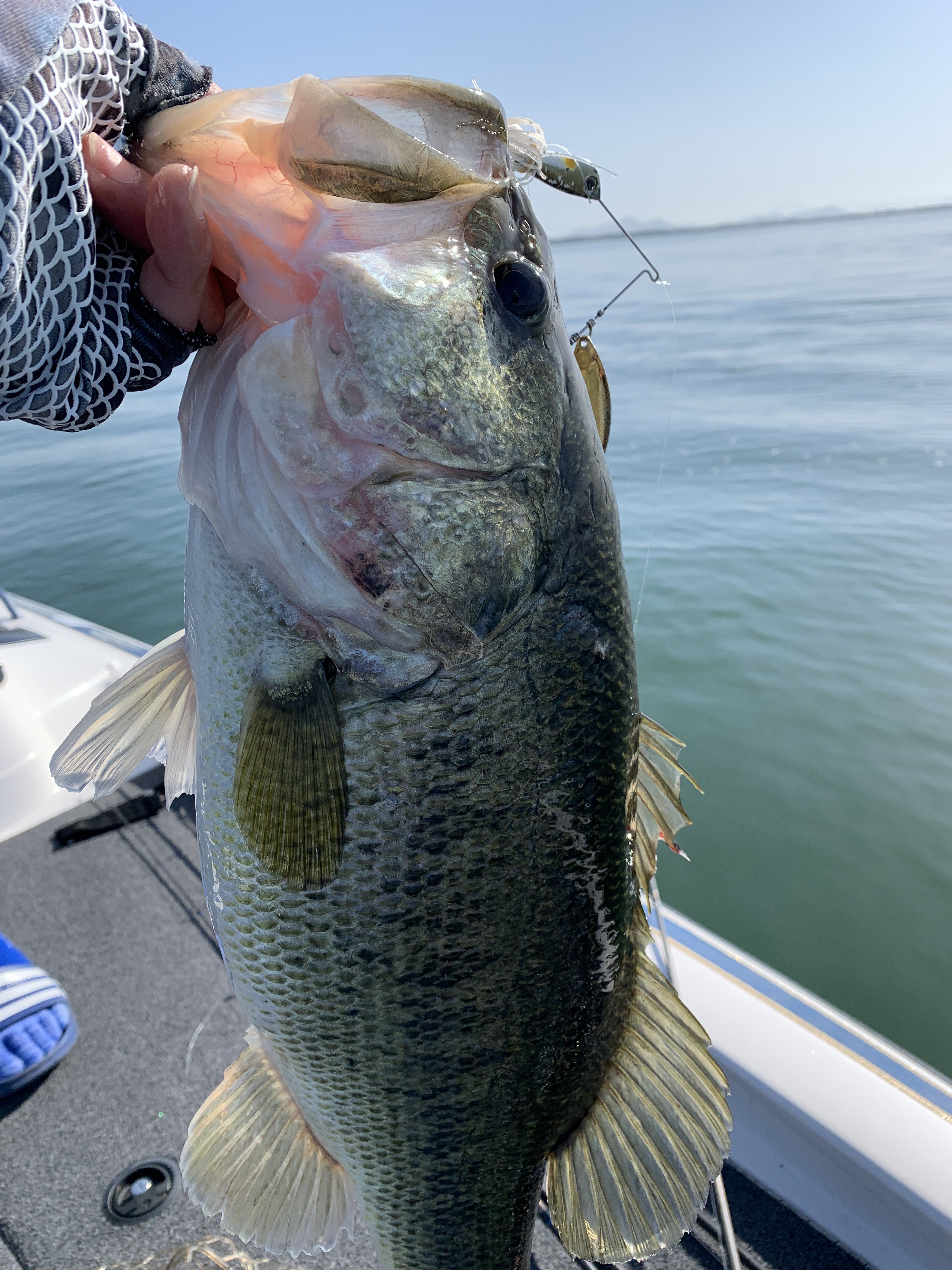 D07F6D63-79BB-4FA4-BA58-C41C09411D9E