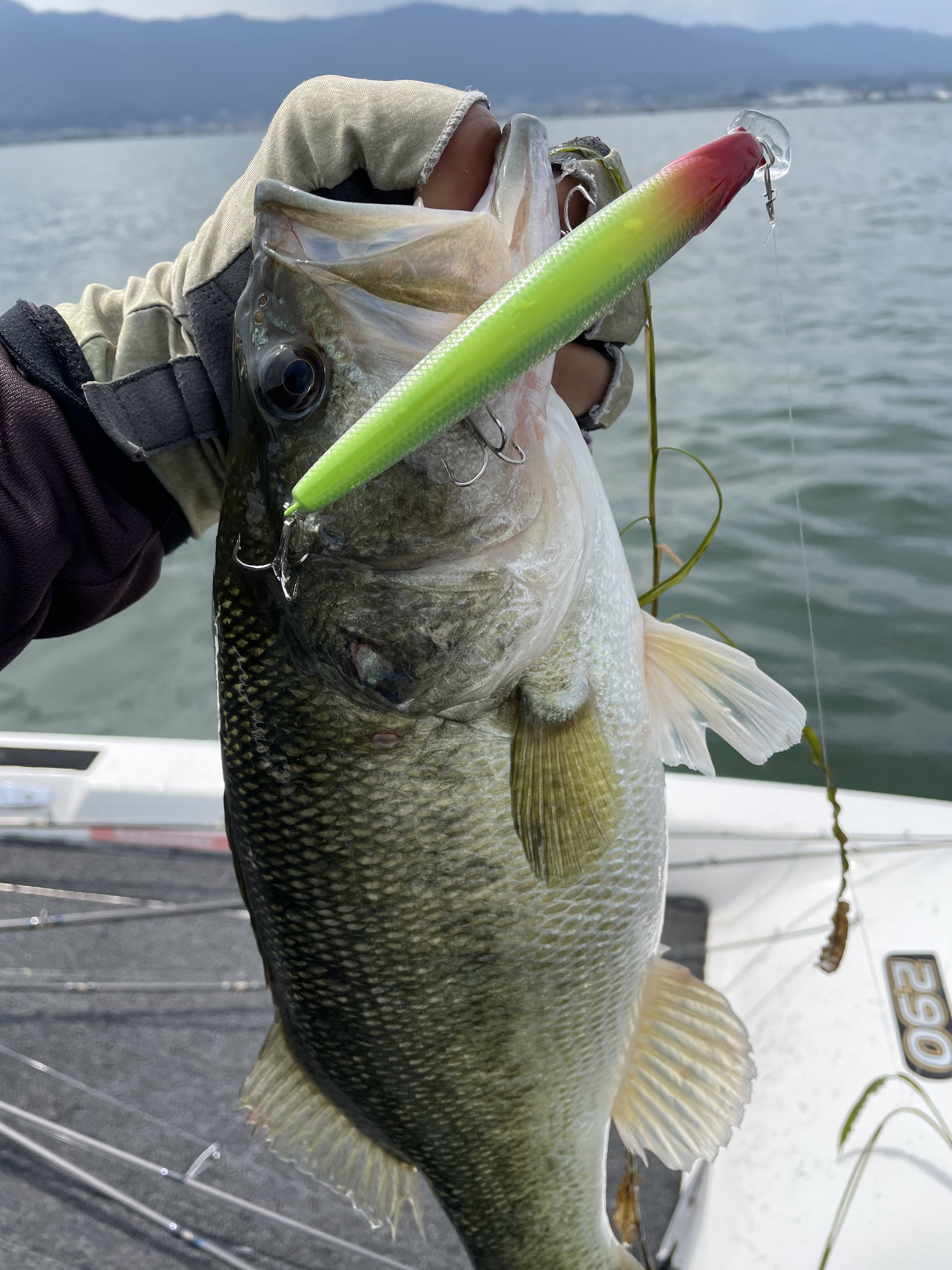 D3903033-08CE-41CB-9ACE-4CECA042BBF6