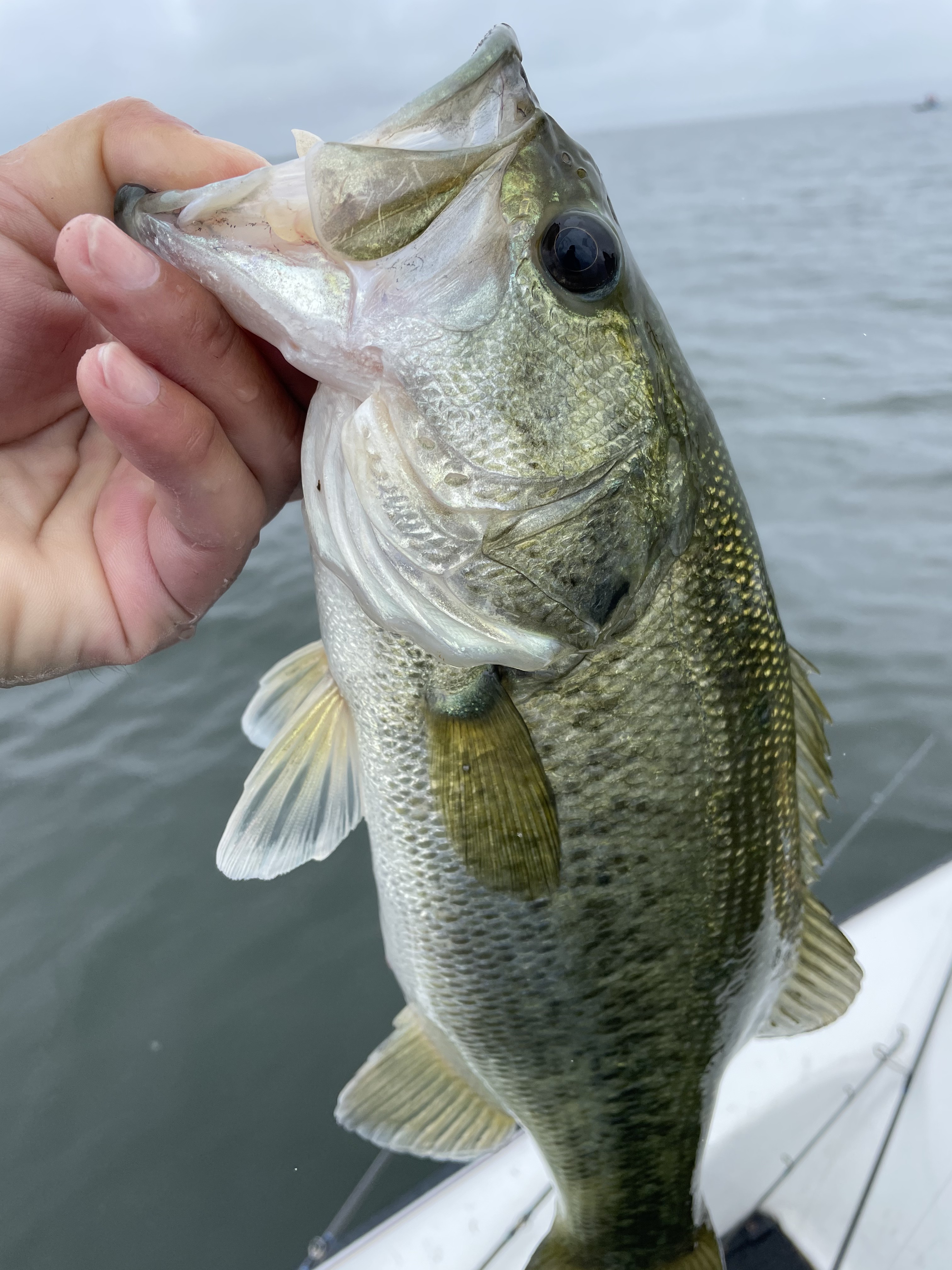 D714A7C5-CF0D-4838-85BA-738517E84364