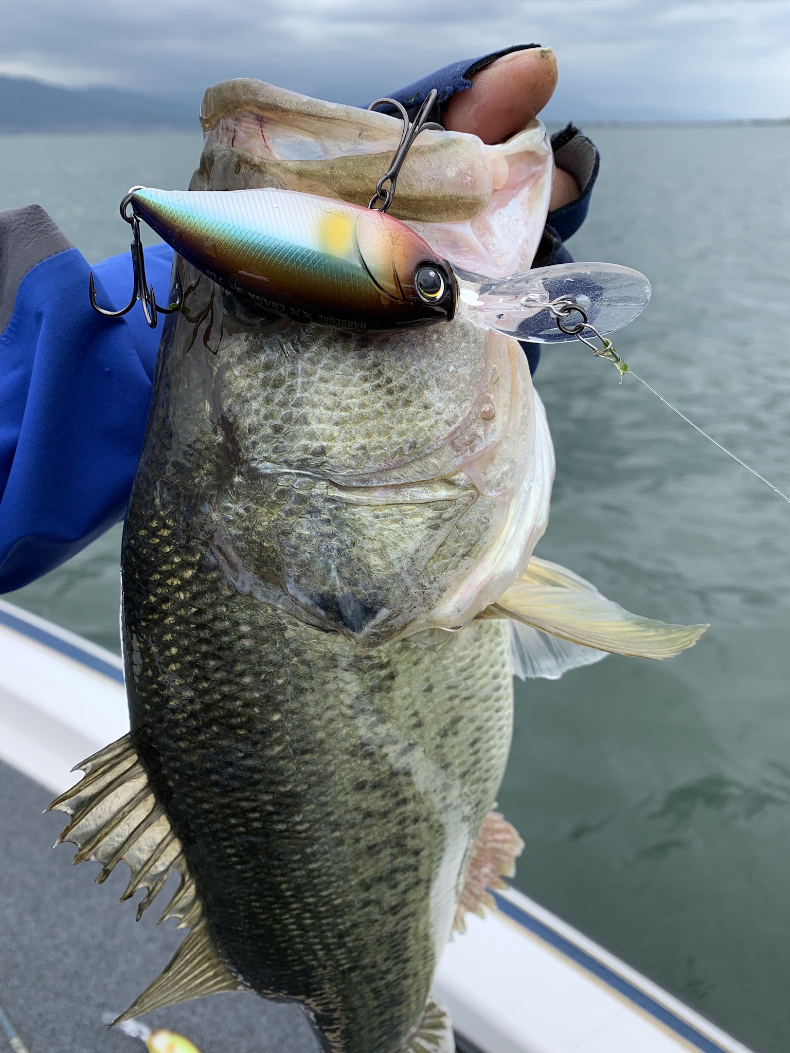 E7CA8EFF-437D-4867-8699-0C272A5F840E