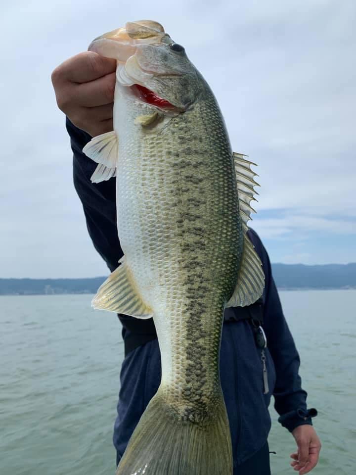 E88086DC-DF25-4667-8BF6-F3131C88DDB7