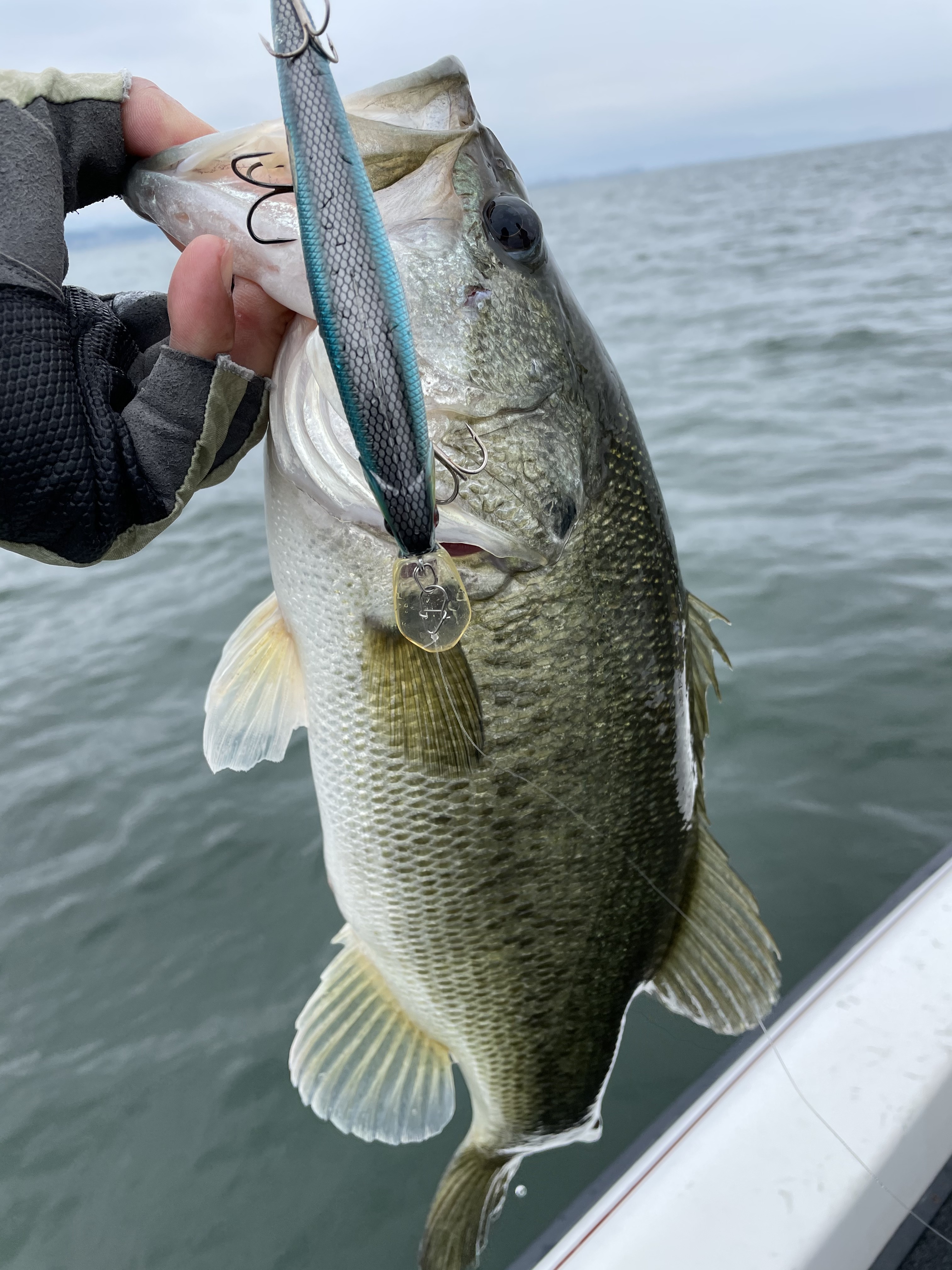 ECE04D55-48E4-457C-887C-1A763235EF2A