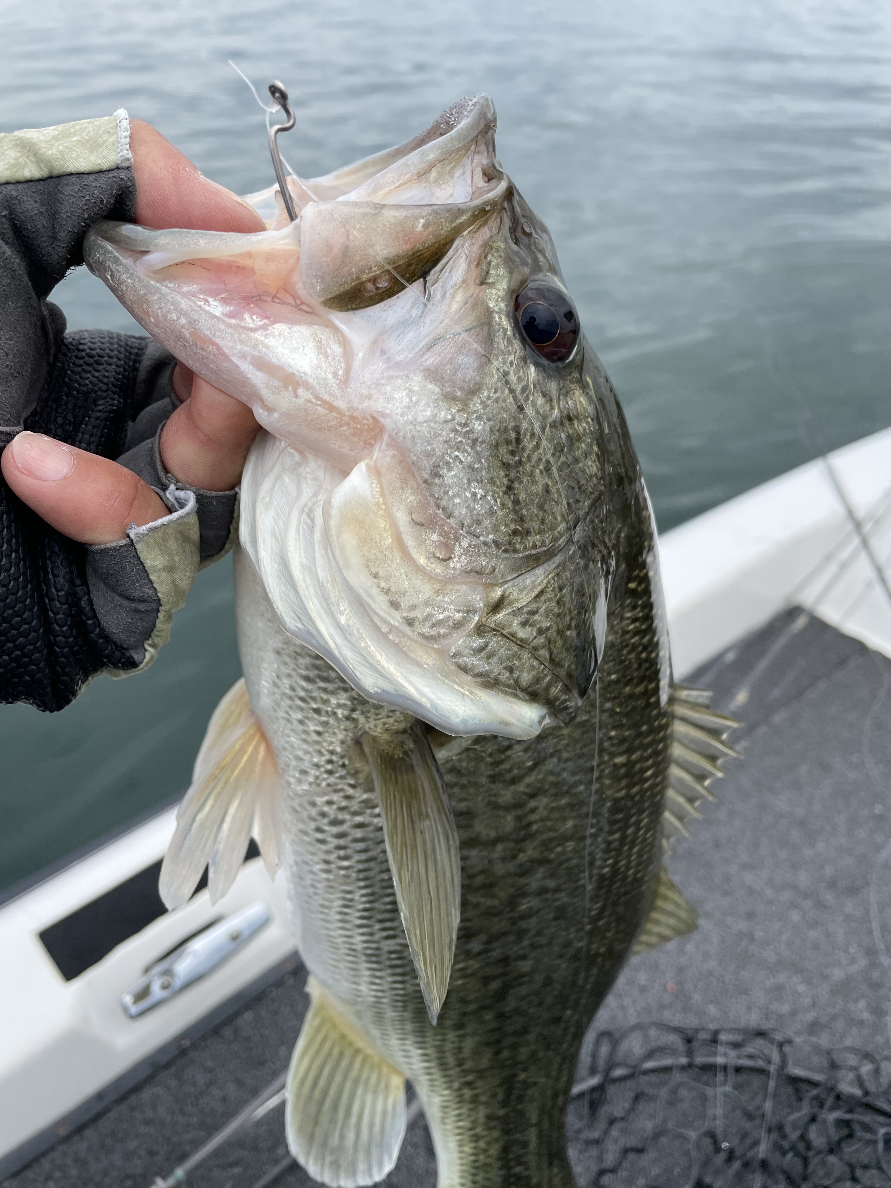 F6258EEB-C8A7-4B7B-B70D-AF4003CE1D49