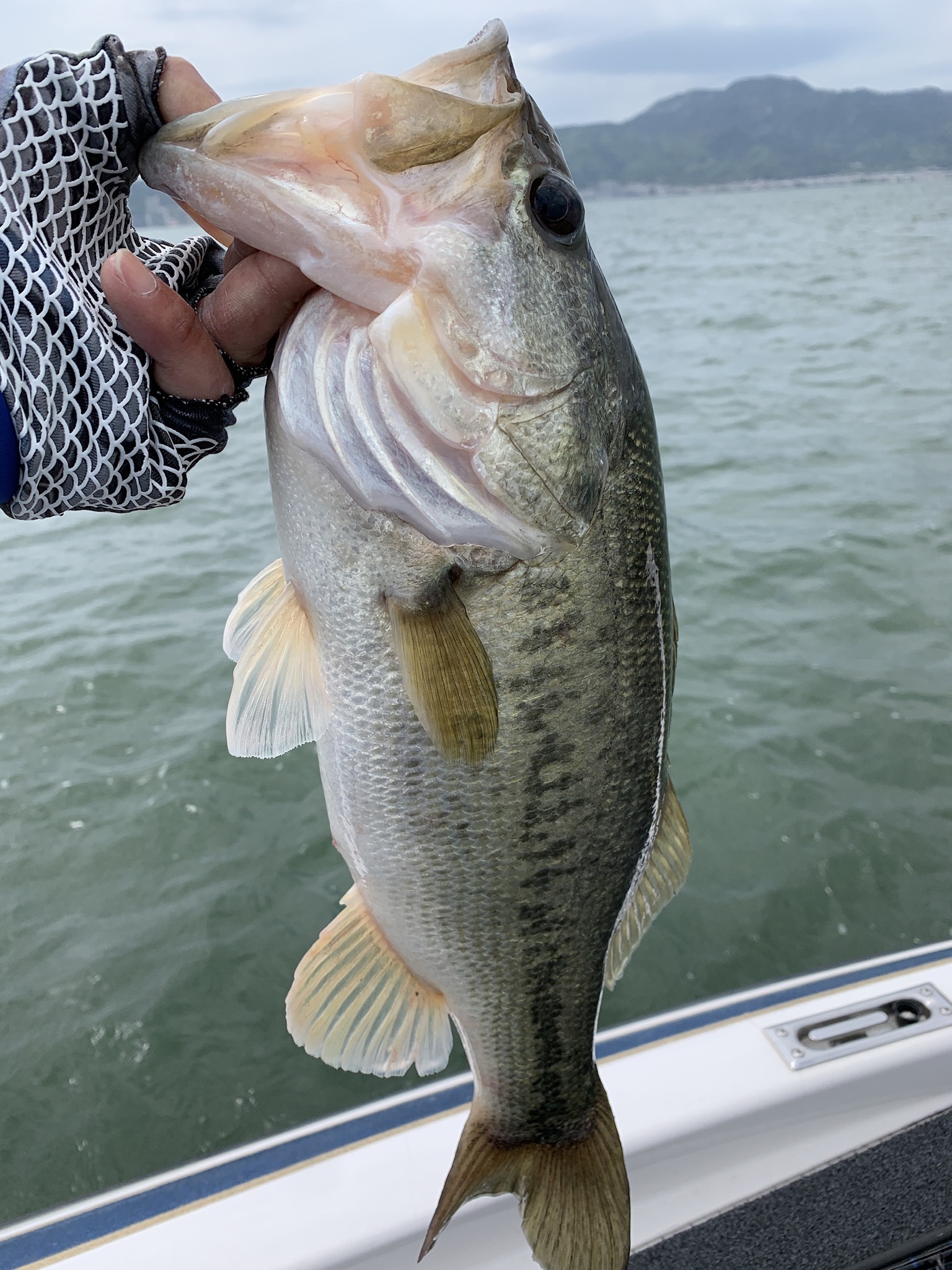 F70A6F53-948B-40E8-91D5-1A677E44D40B