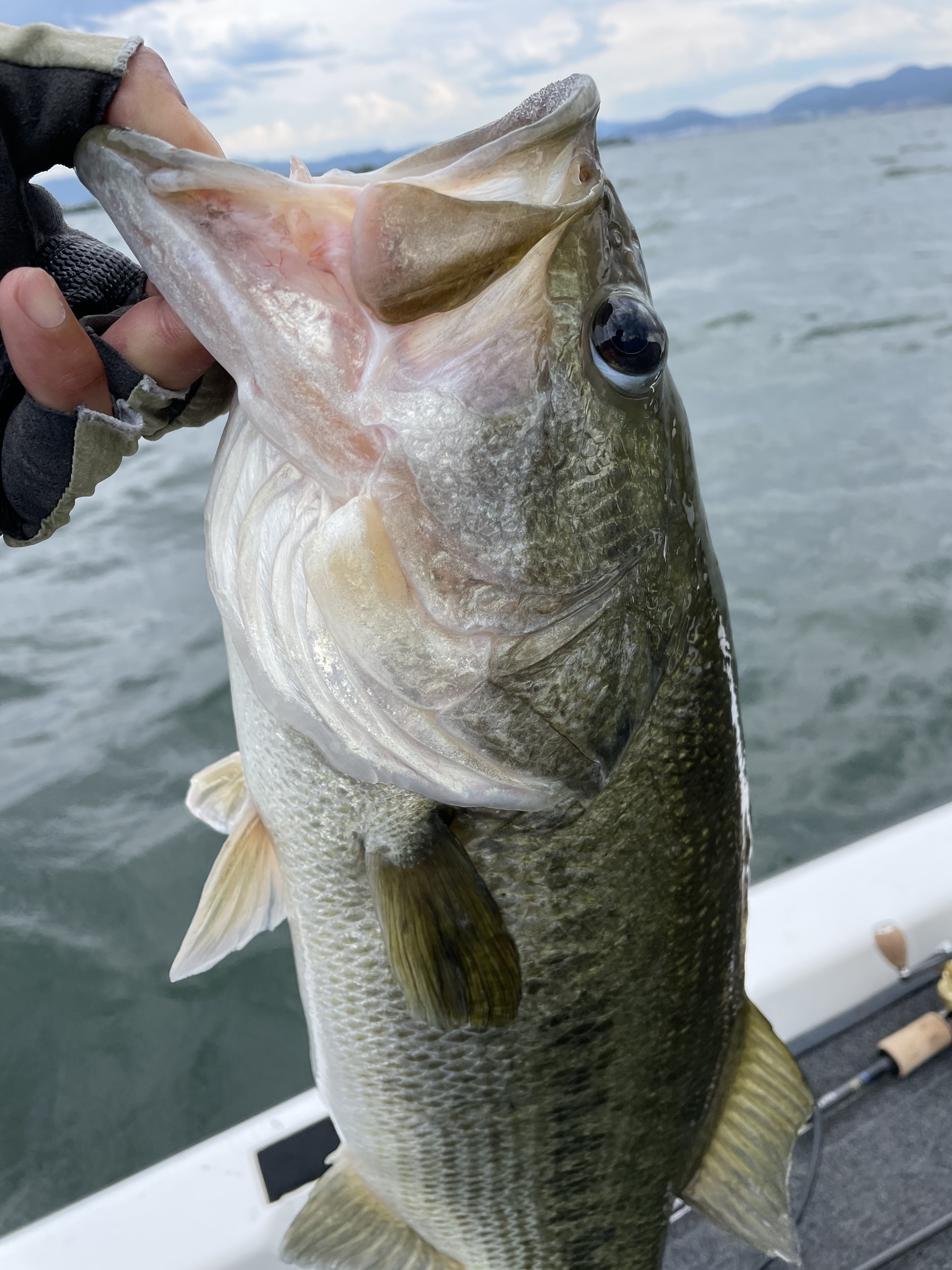 F94E927E-23B0-4420-A1F8-C11652503F8C