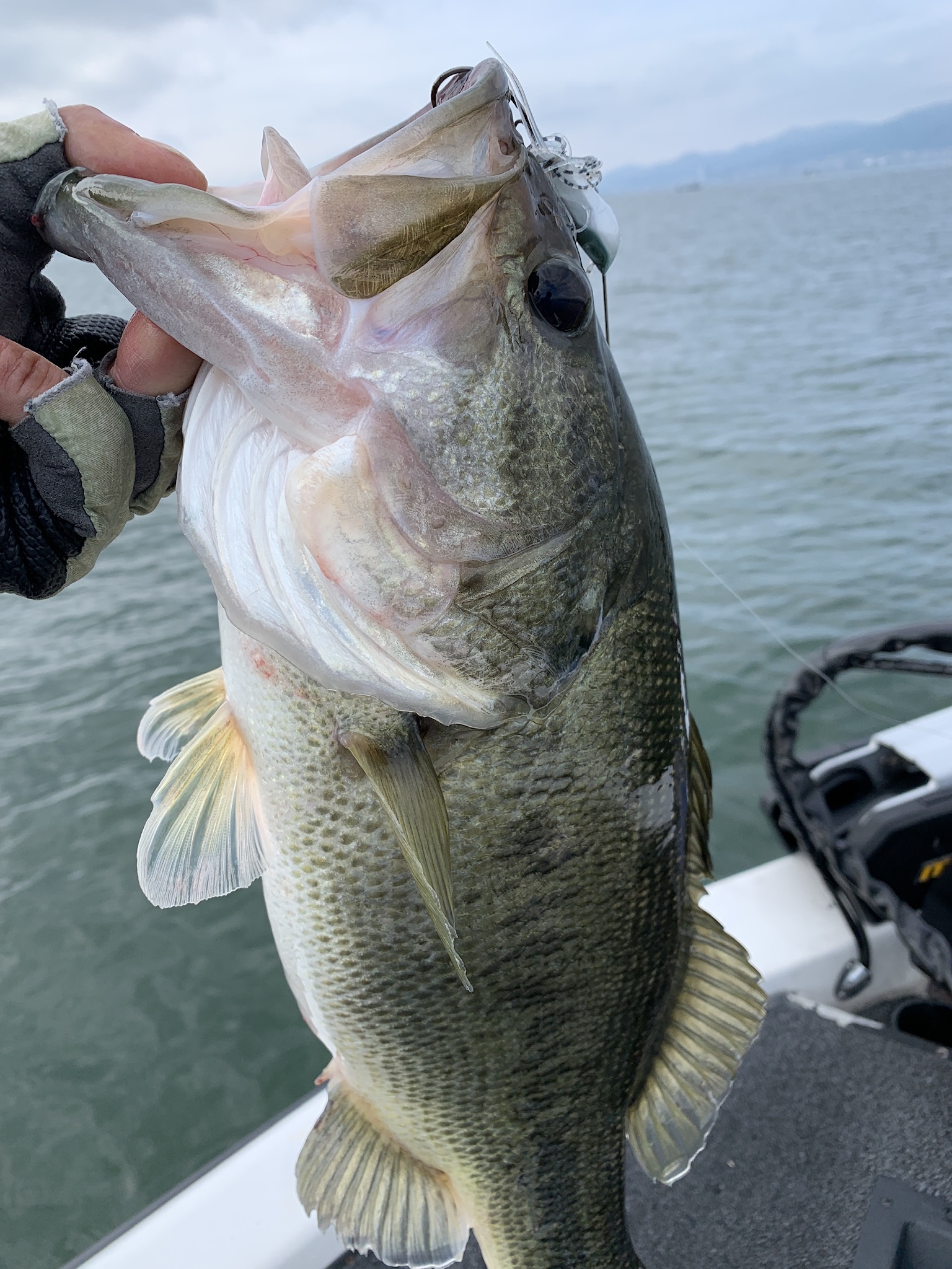 FDD9108D-9604-40E3-BF75-583760BC002F