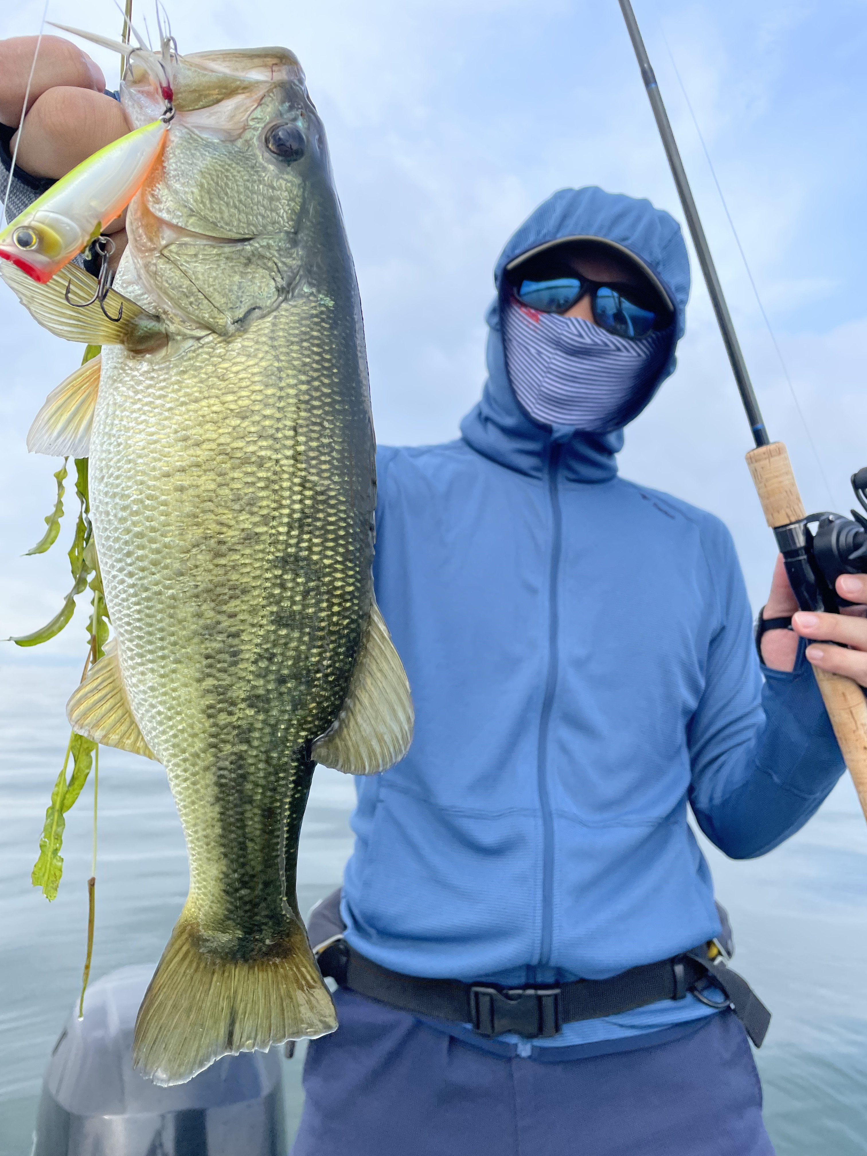 14D79467-ACF9-49C1-869C-6692A2BE283F