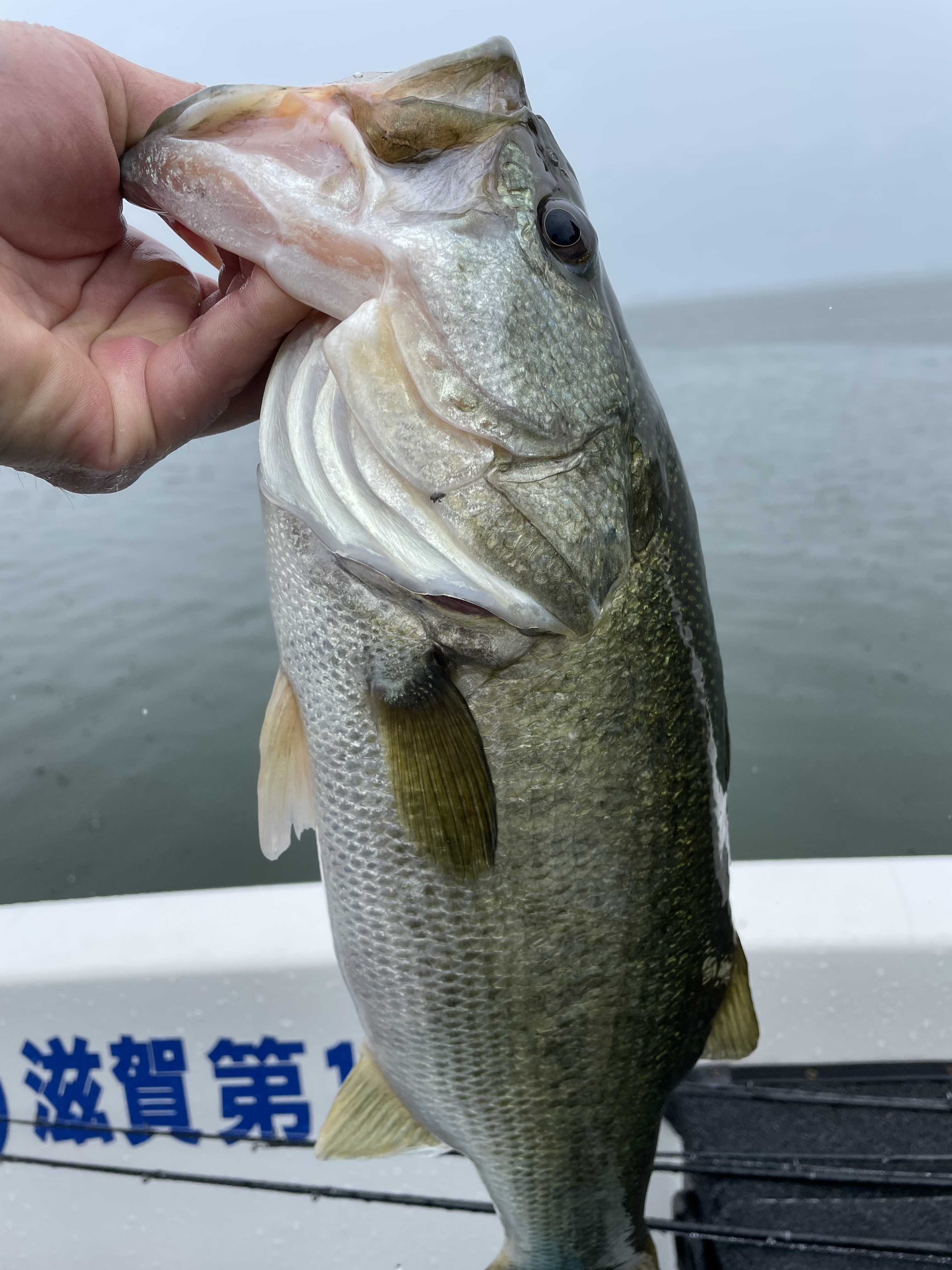 151D2300-2307-403B-8BC1-28219B52DC5A