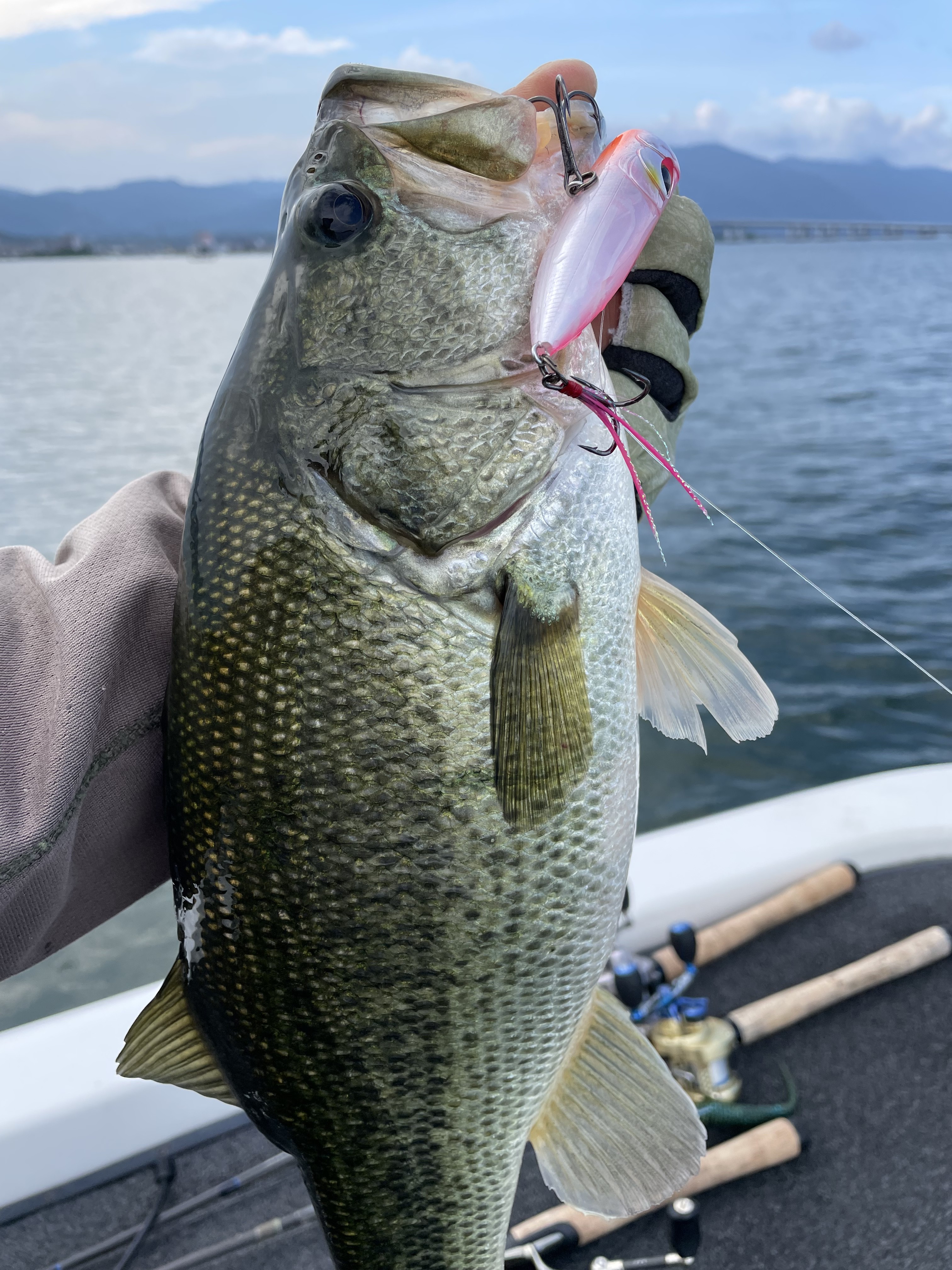 36C26050-8479-476D-8E6E-8FC9F566F0C9