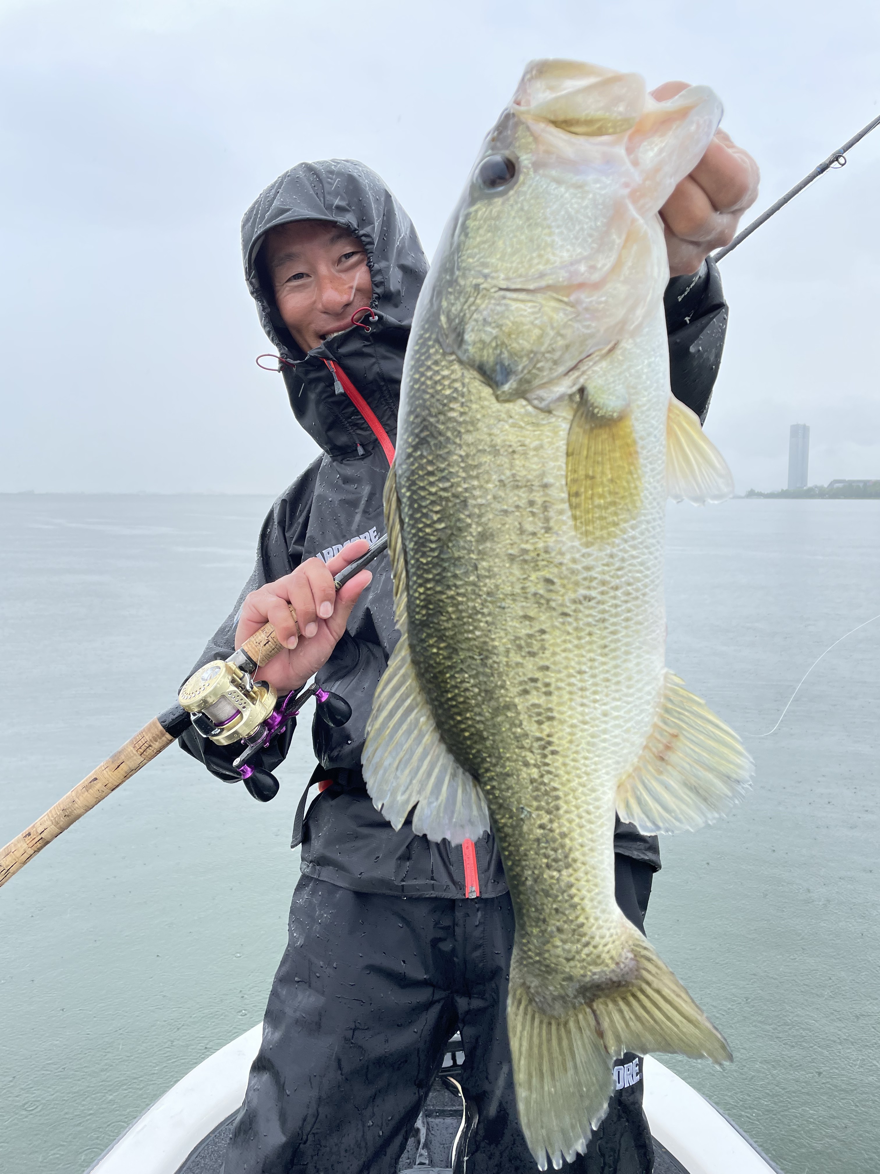 435A19EB-E325-426C-BAA4-9CEC38F82958