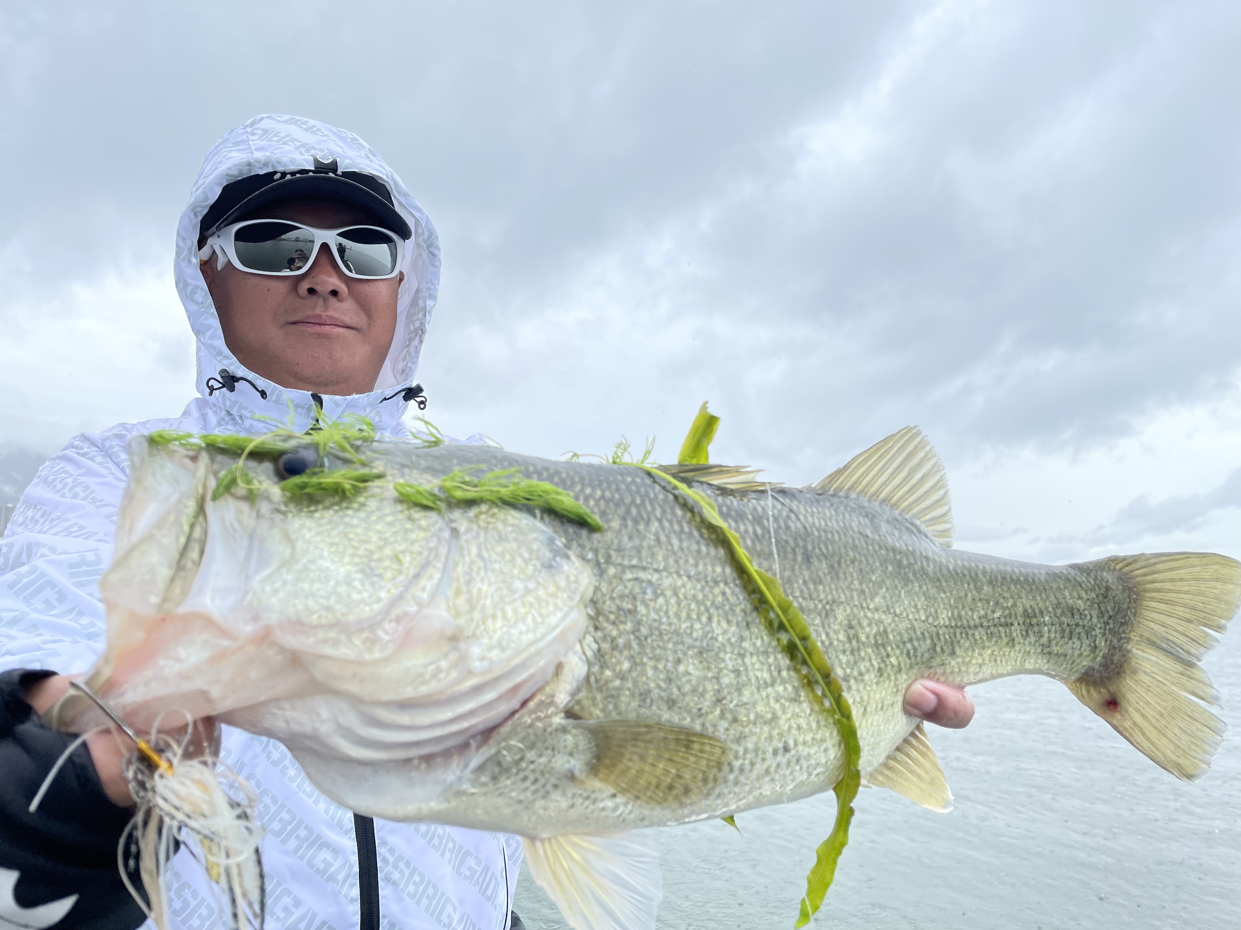 48CE823B-A828-43EE-8076-690EF0020667