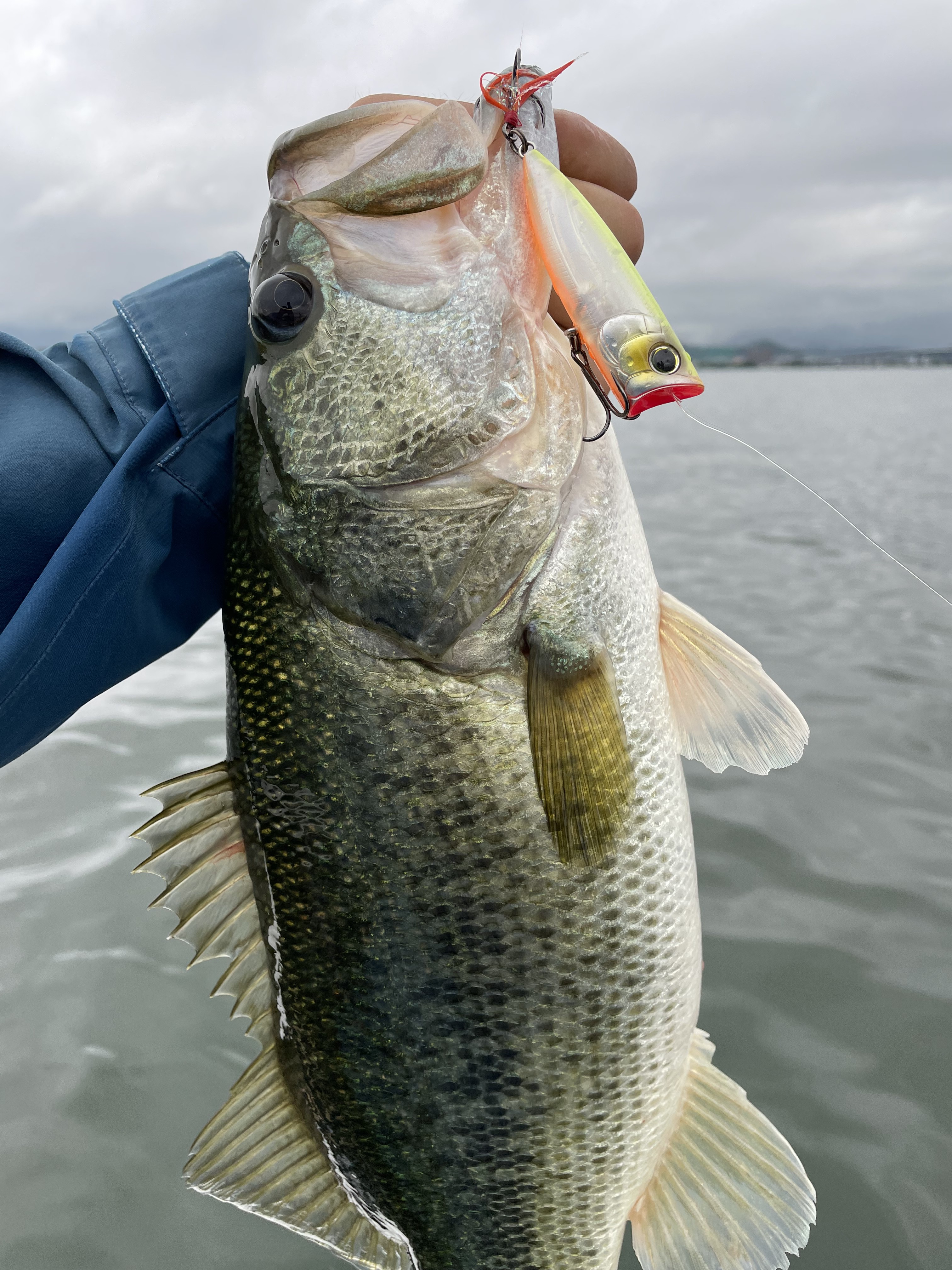 4F454816-BD87-4C98-B6F2-72DEE4AA5185