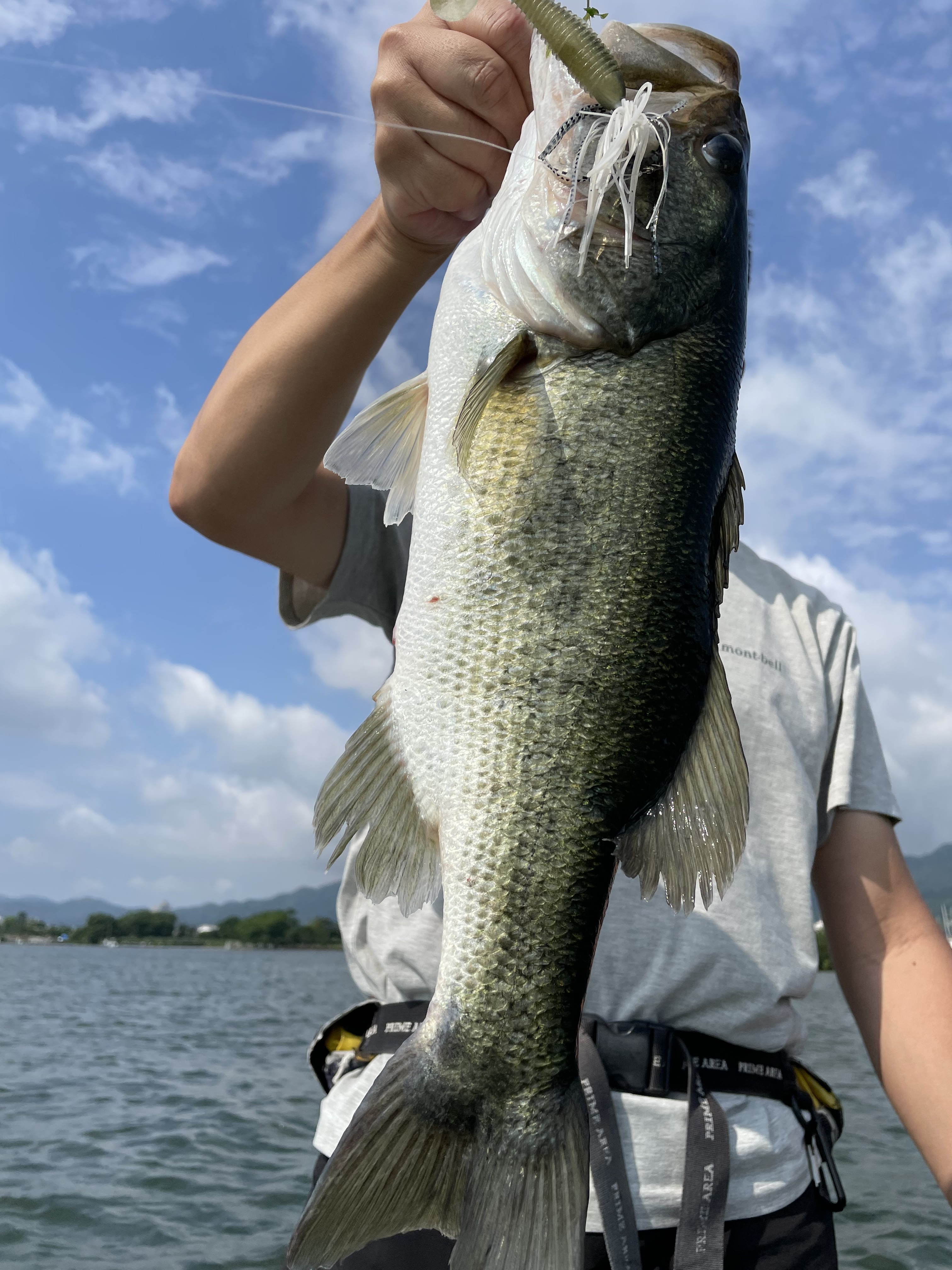 5B363FAB-24D7-4779-A48C-1A0D4DD03BDE