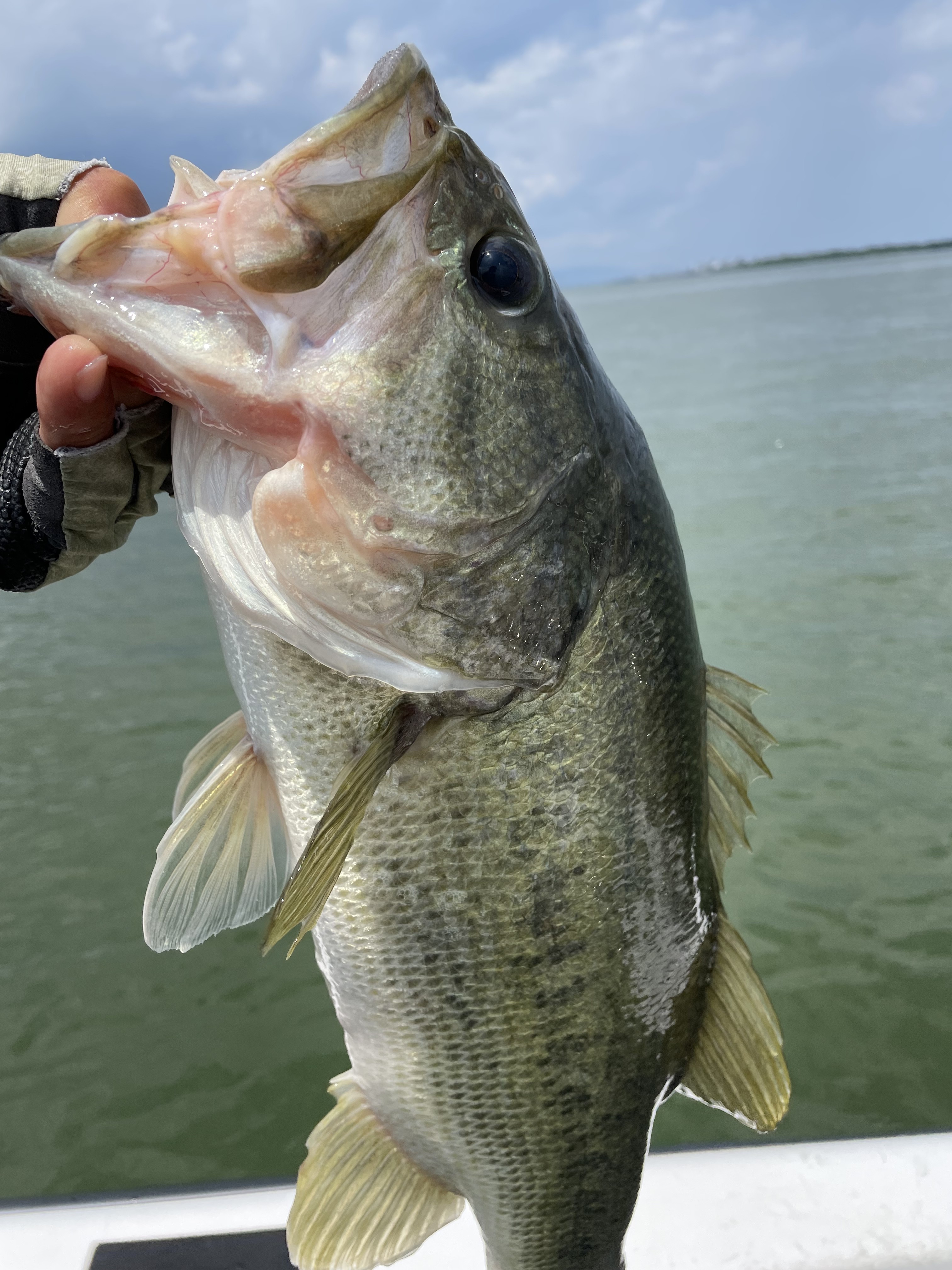 5C993FBE-A9CD-4B11-8C78-AEBA47583A13