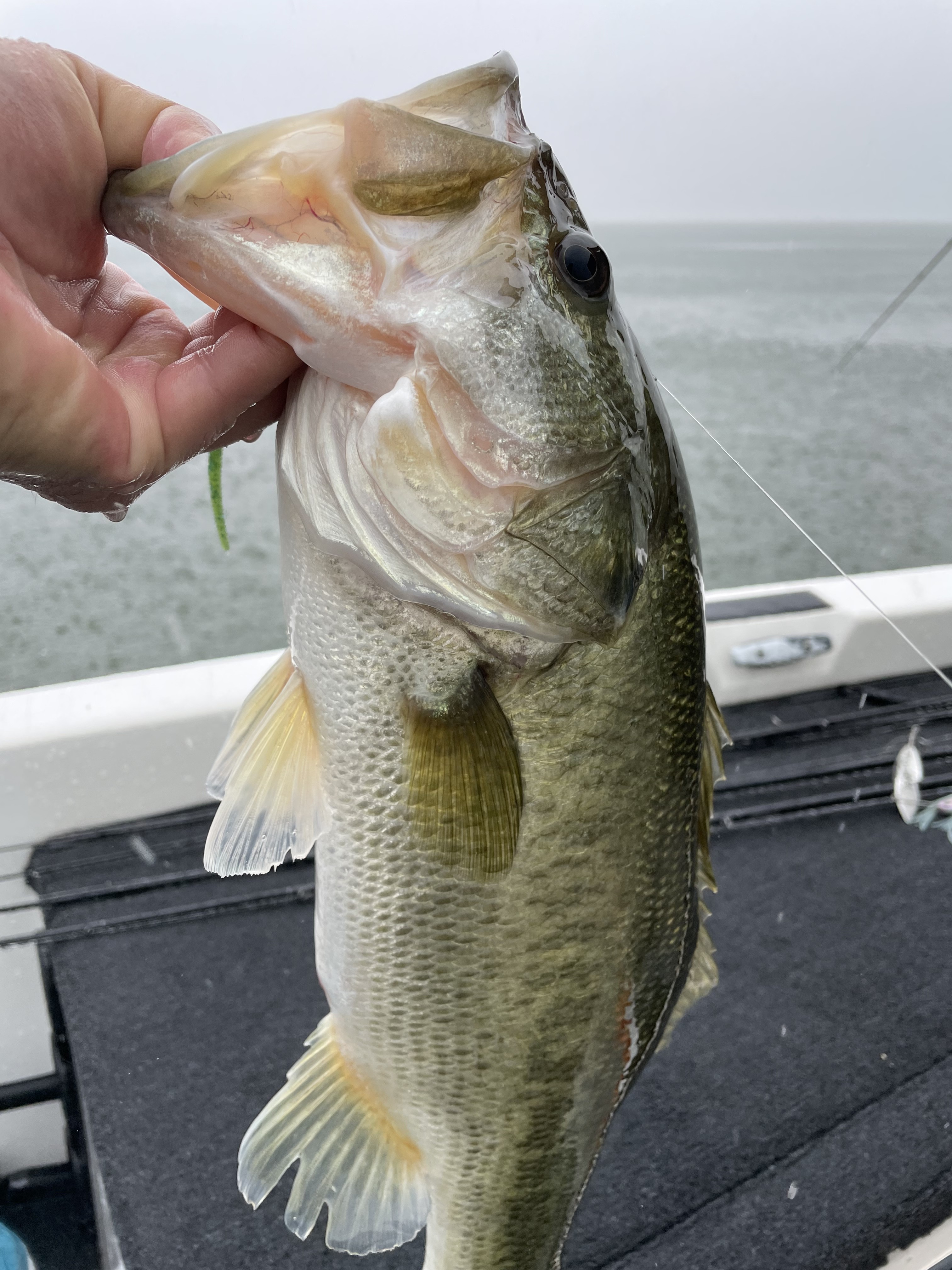 7E4AC780-57CF-44B7-AB83-FDB6F58CB3CB