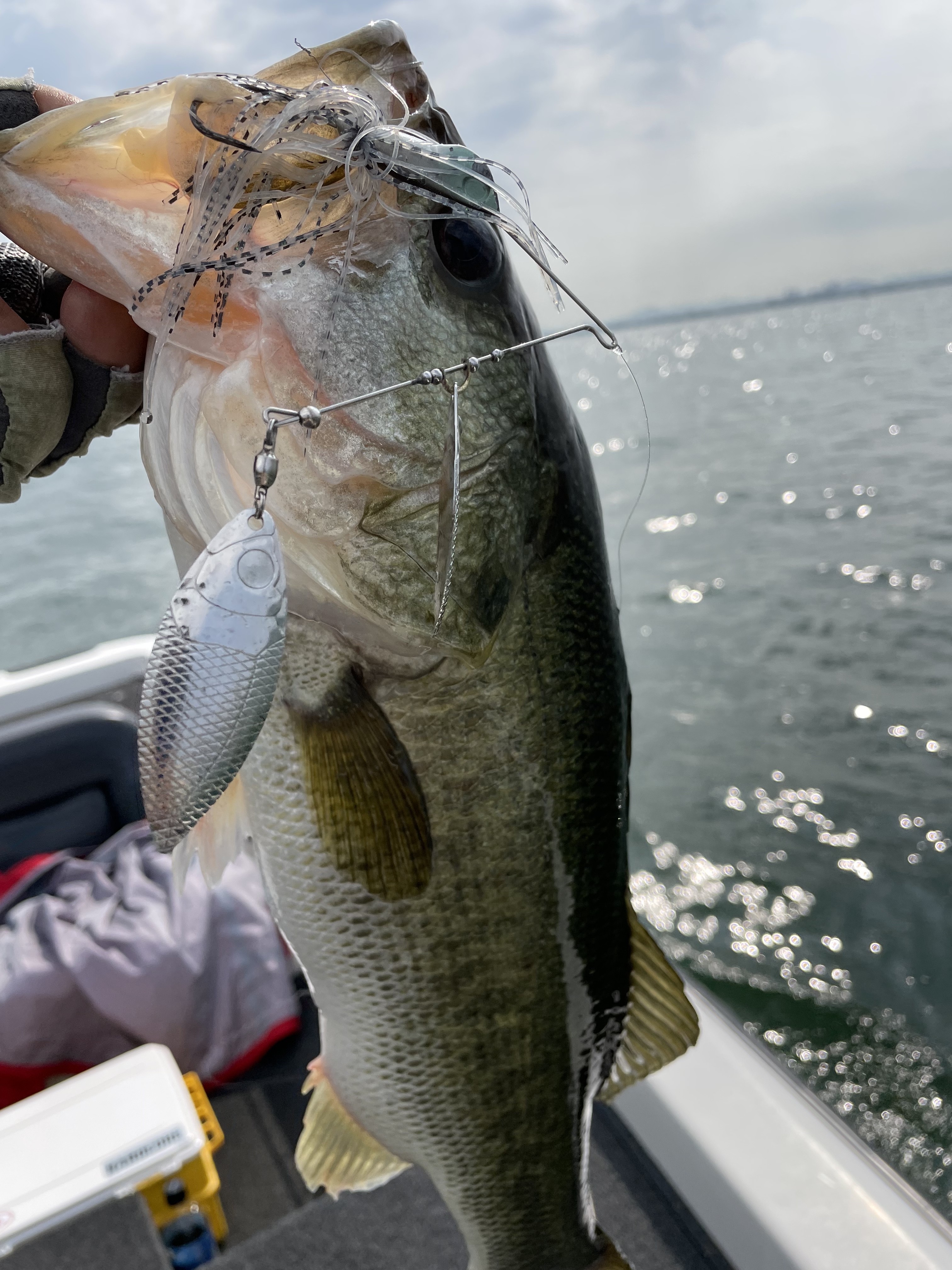 8D596921-B53D-4187-8F58-38C88FDE004C