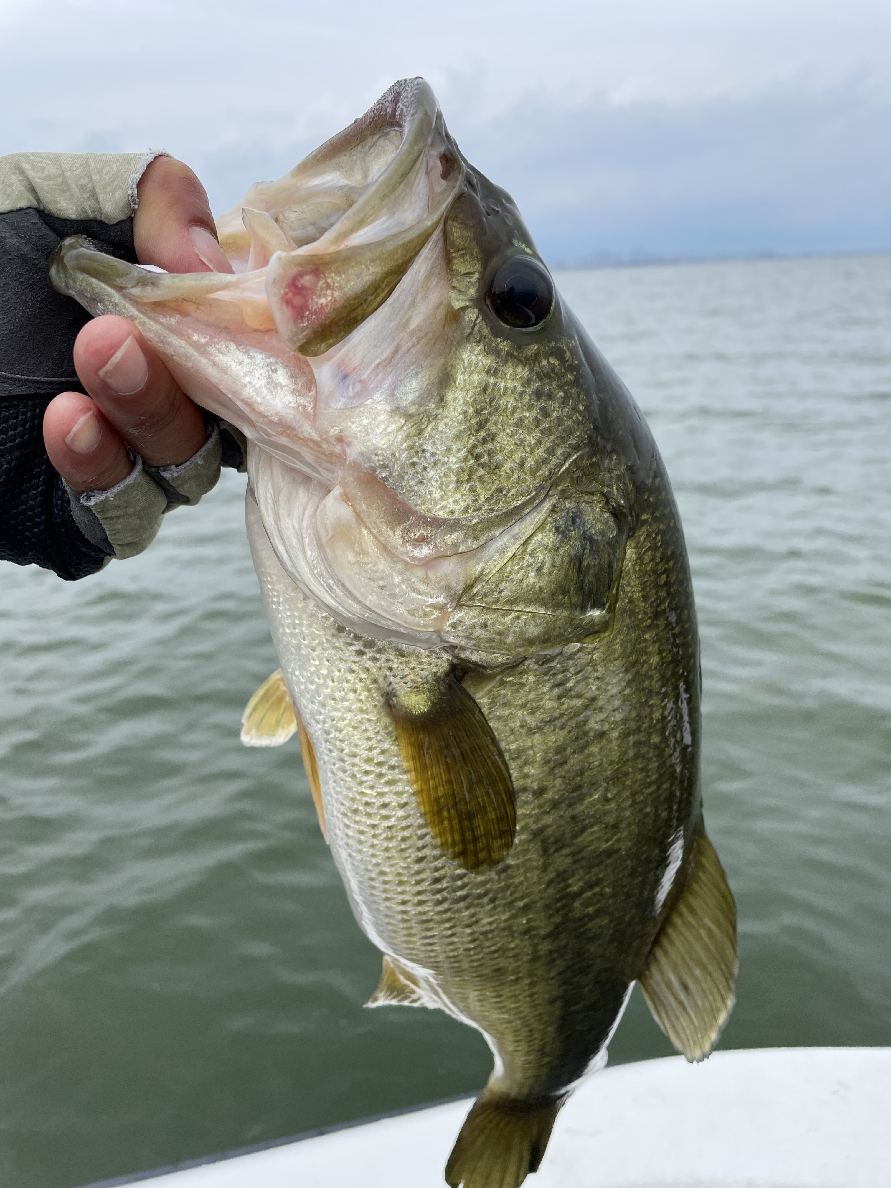 93457676-EAB2-4A92-9275-94ED482AD35E