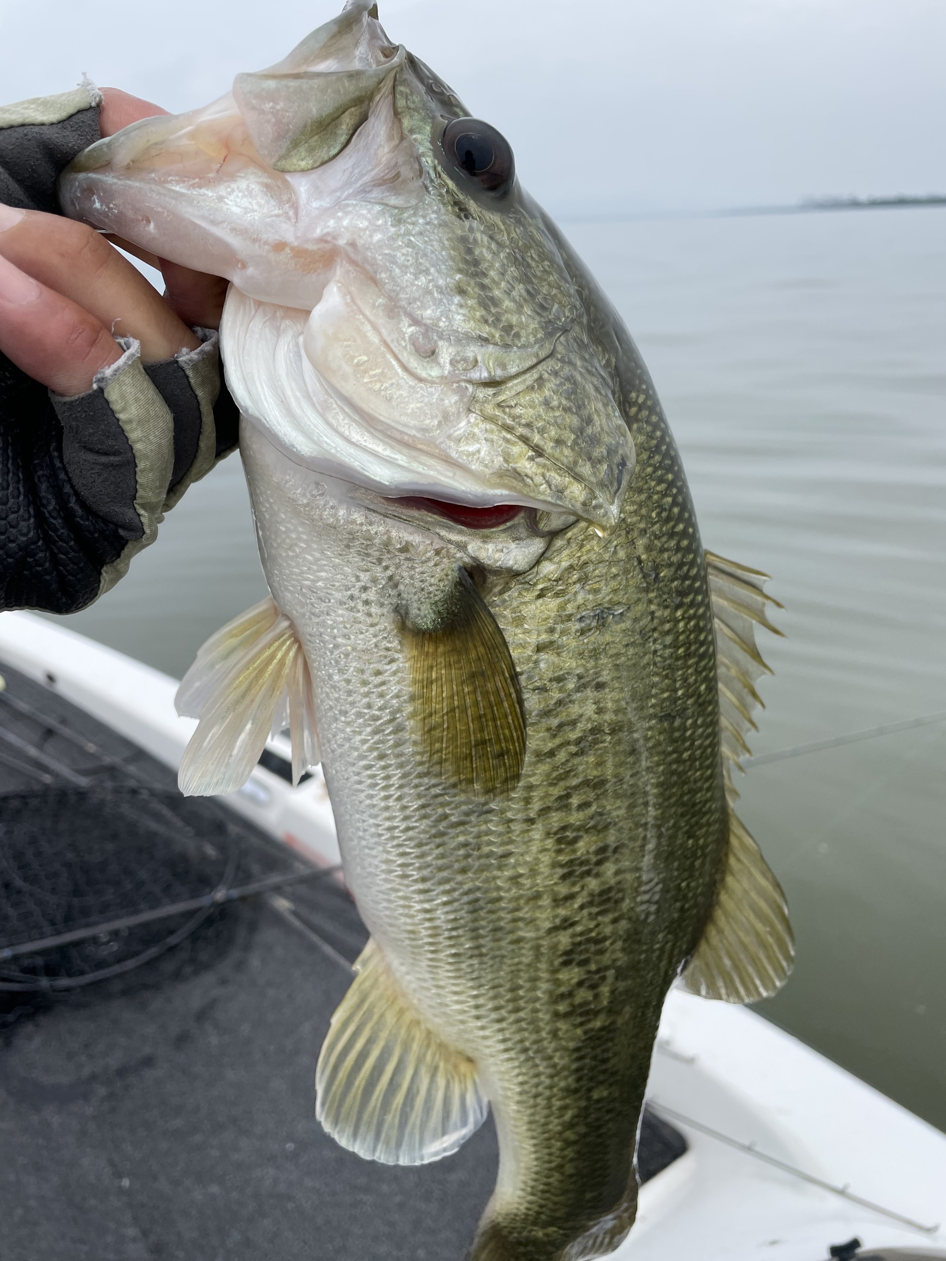 A6E29F39-DB62-4555-B308-C0F4B7252570