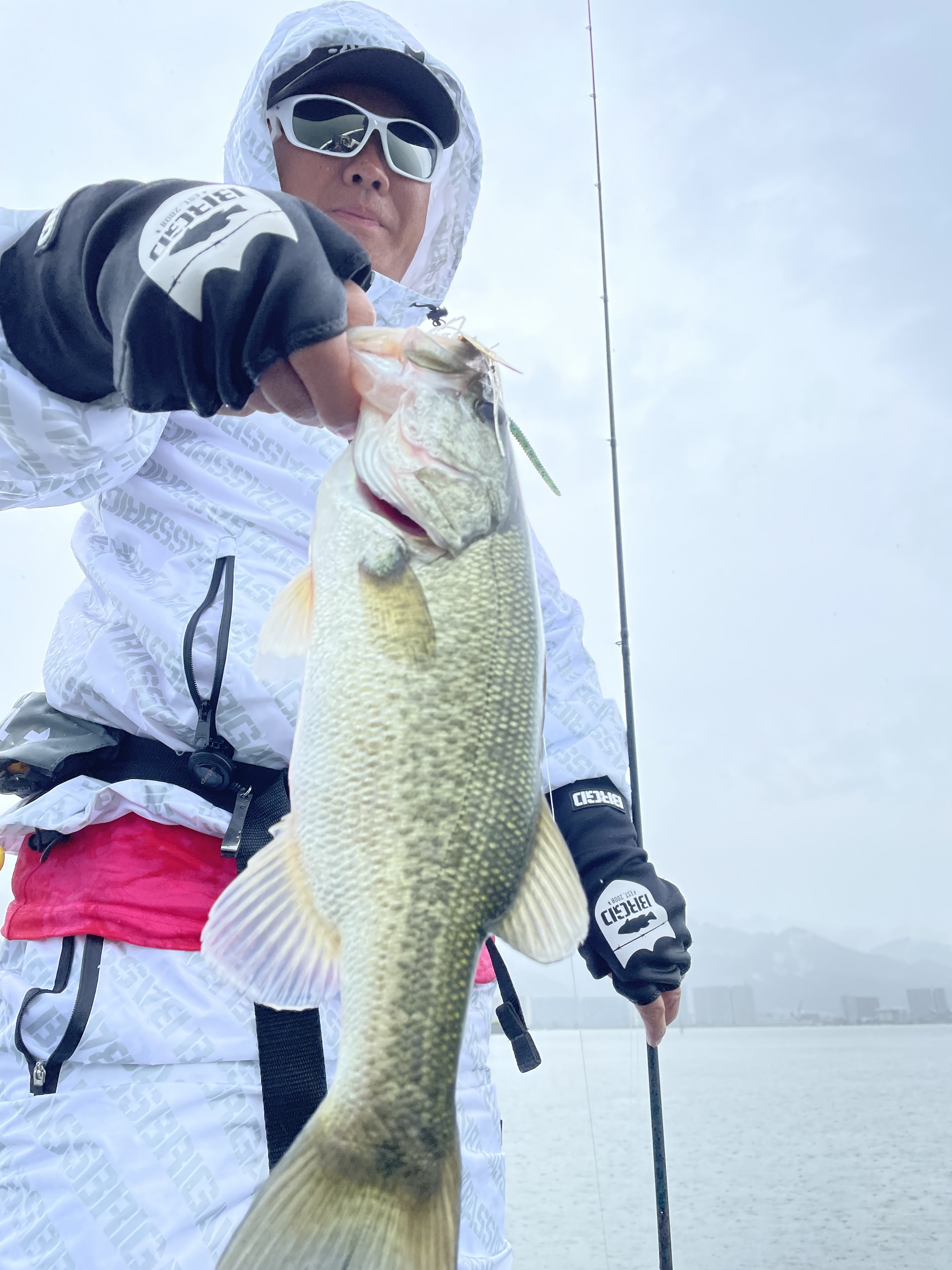 AE2C9316-C63D-4346-8D4E-98FFAF2EBCE1