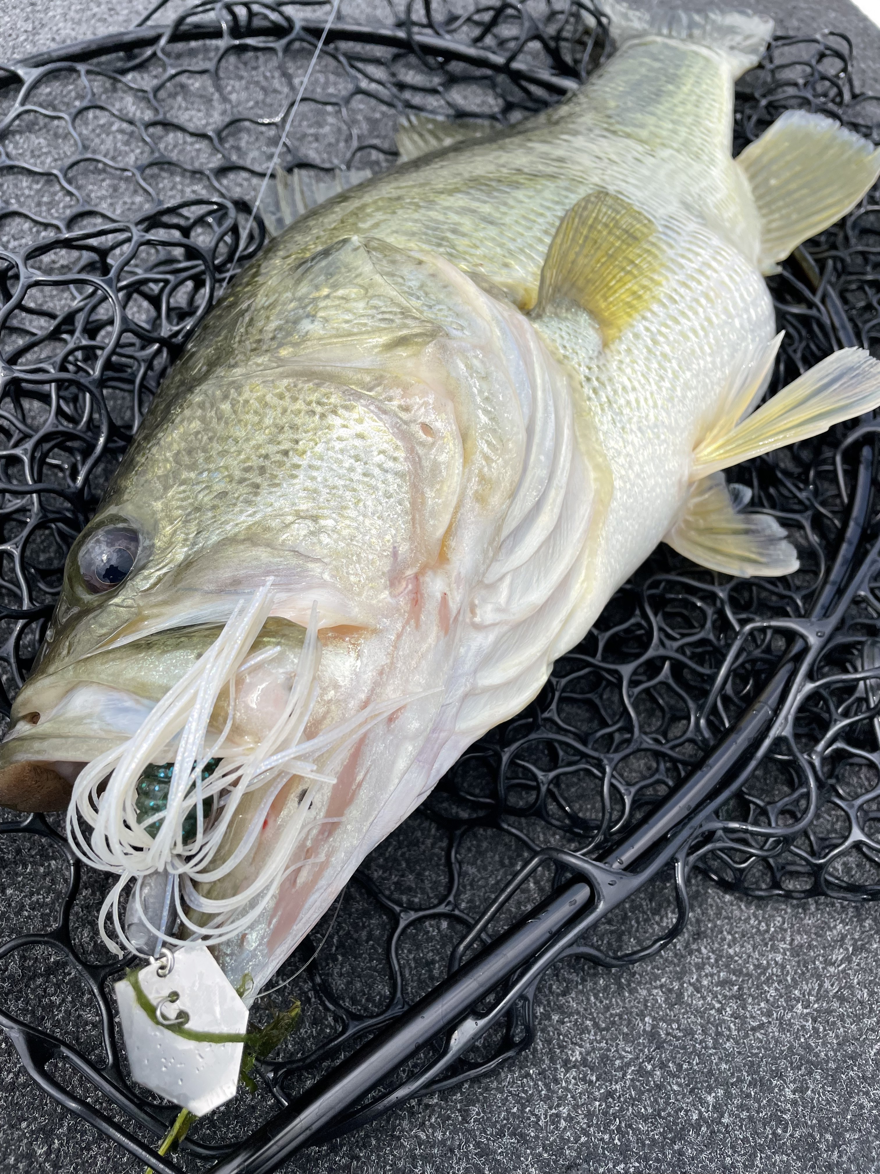 B547D0E6-8CE9-4E7C-B59F-C4E1315CD70E