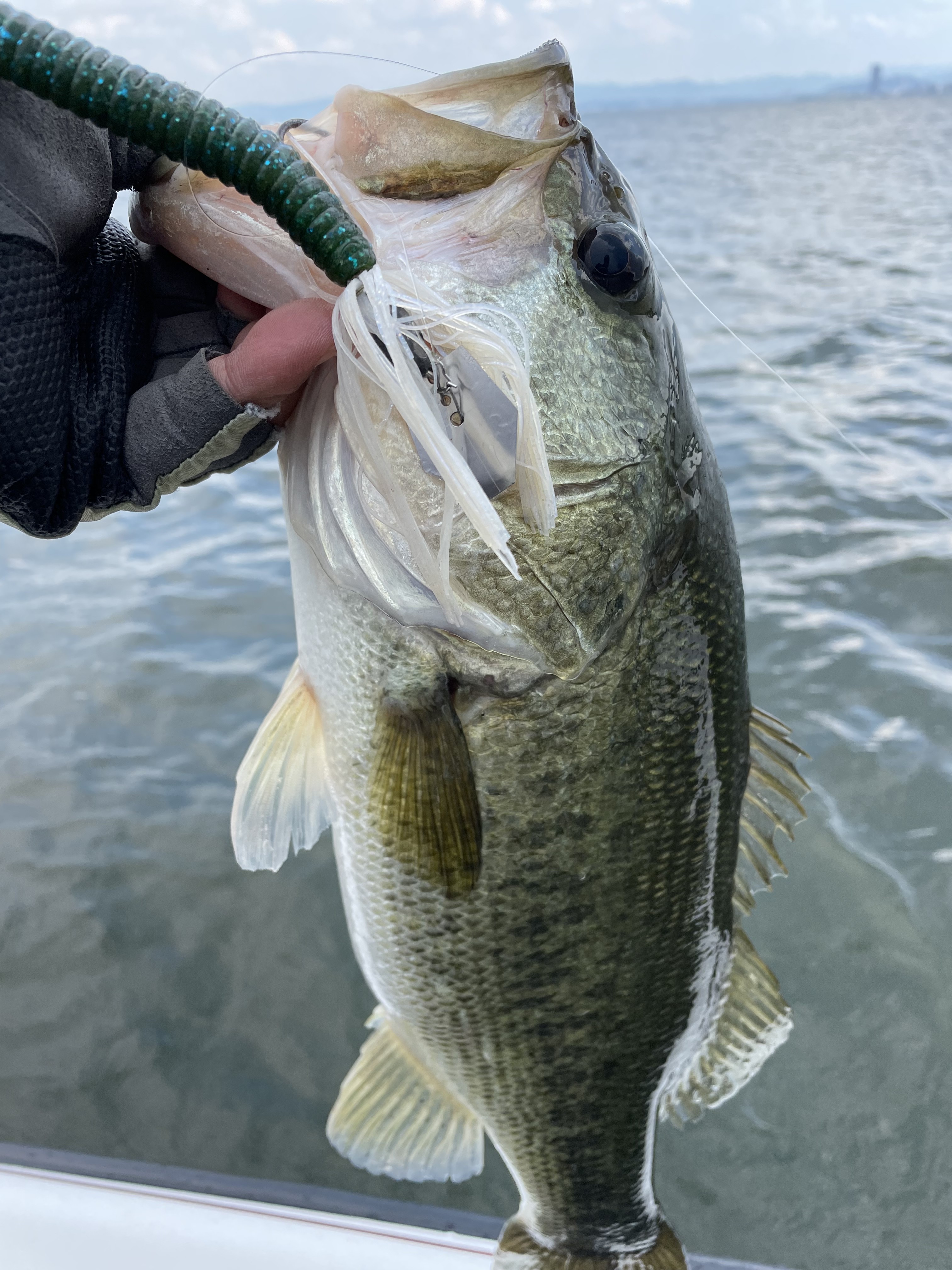 C131BB45-6DDD-4828-BE14-58E18C6E4250