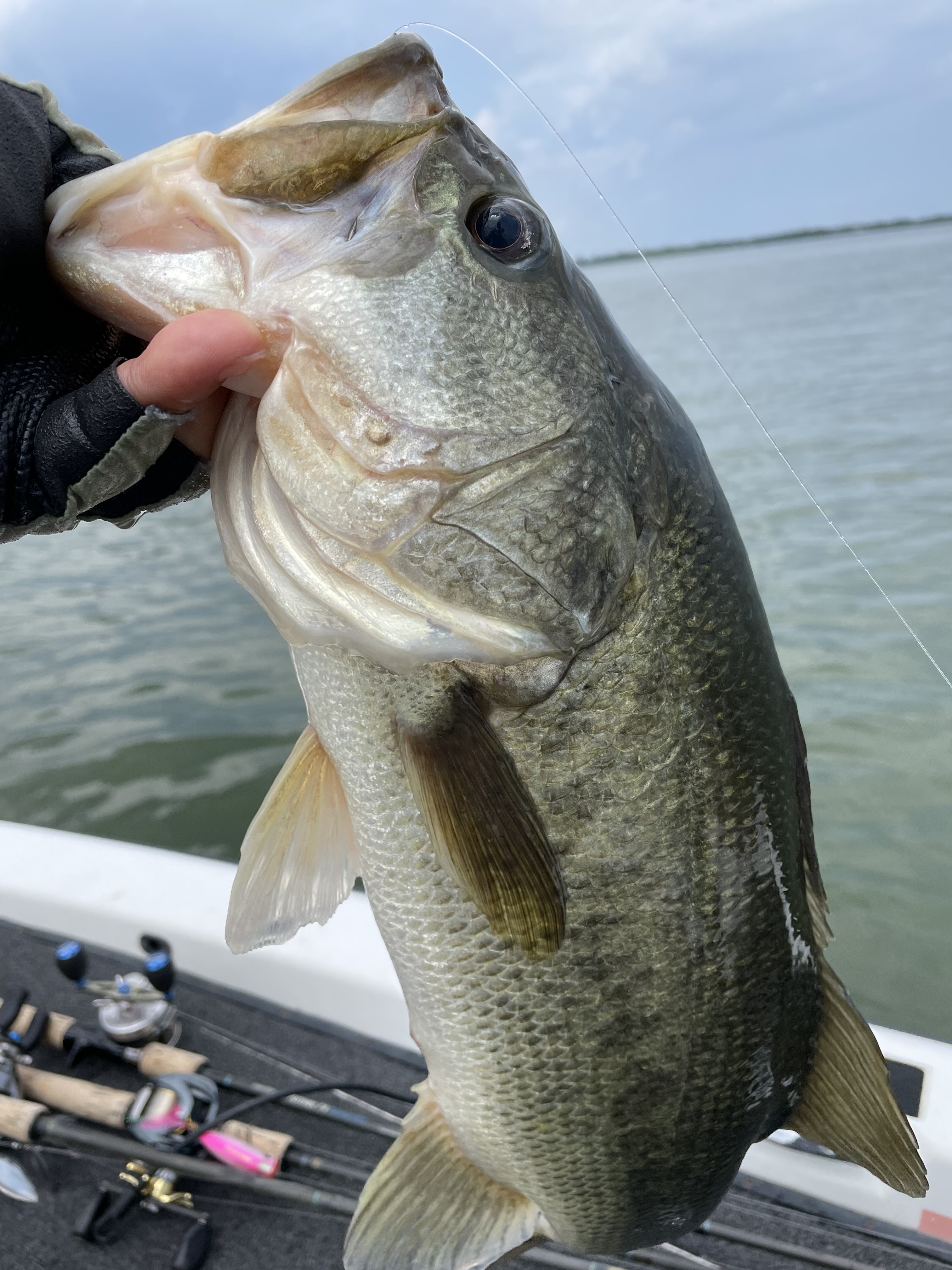 D533047B-5367-4870-B3DC-A955C3E1D8AD