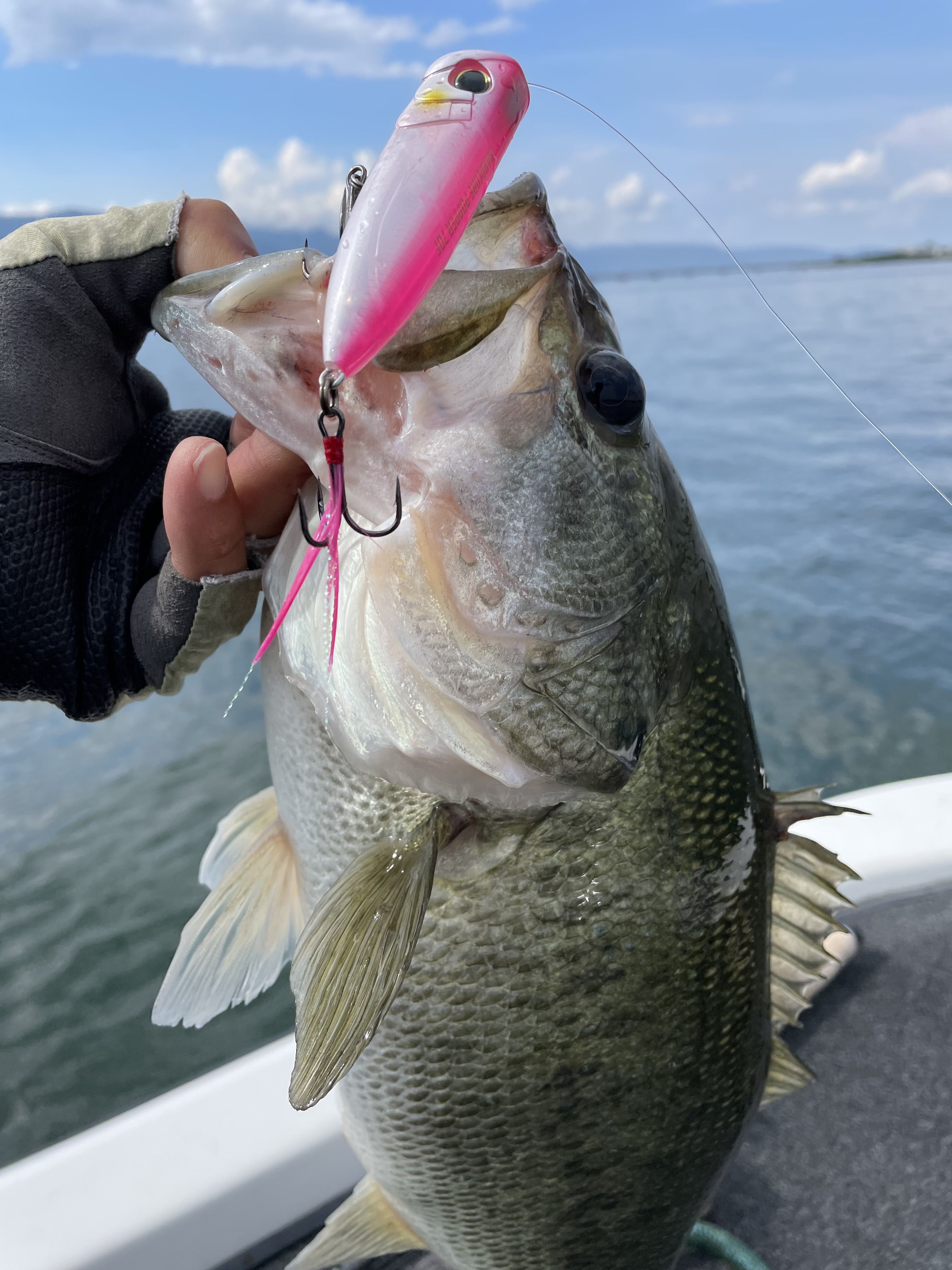 E549C936-84A0-4CFA-99D3-1B72B6E6894B