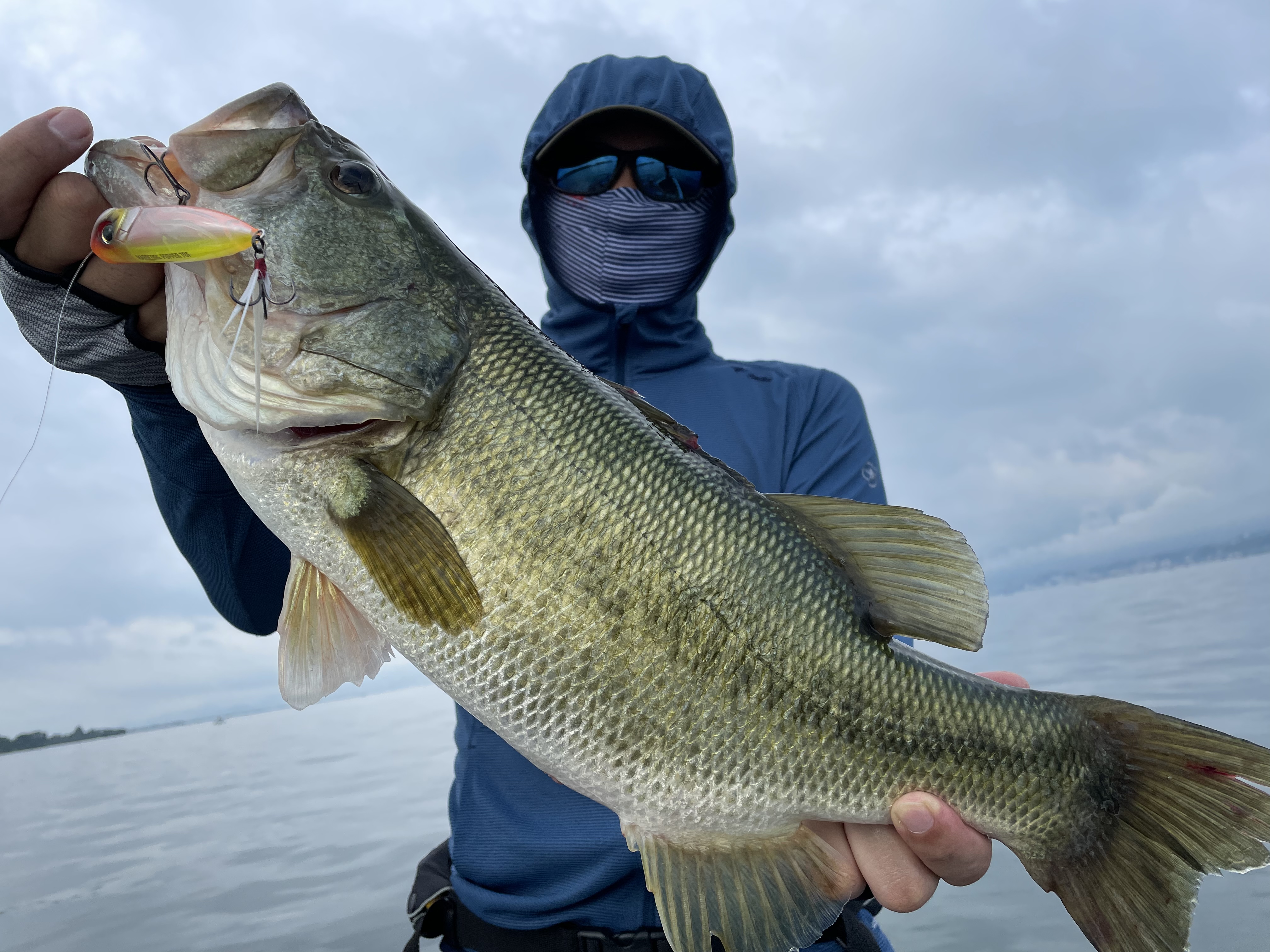 EA16F491-BD27-4F85-A3A3-492B1ACC1F32