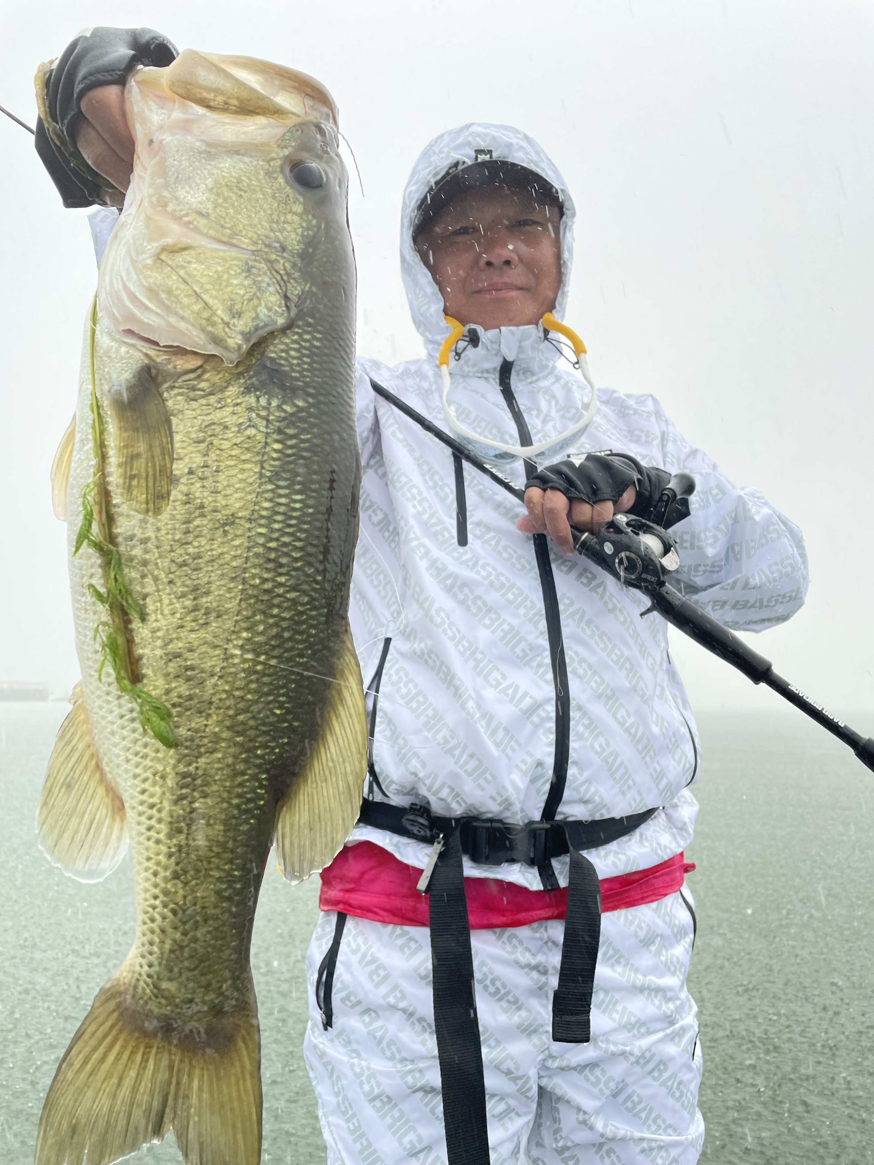 F30E8950-C8DB-4371-9809-20D684C1D10C