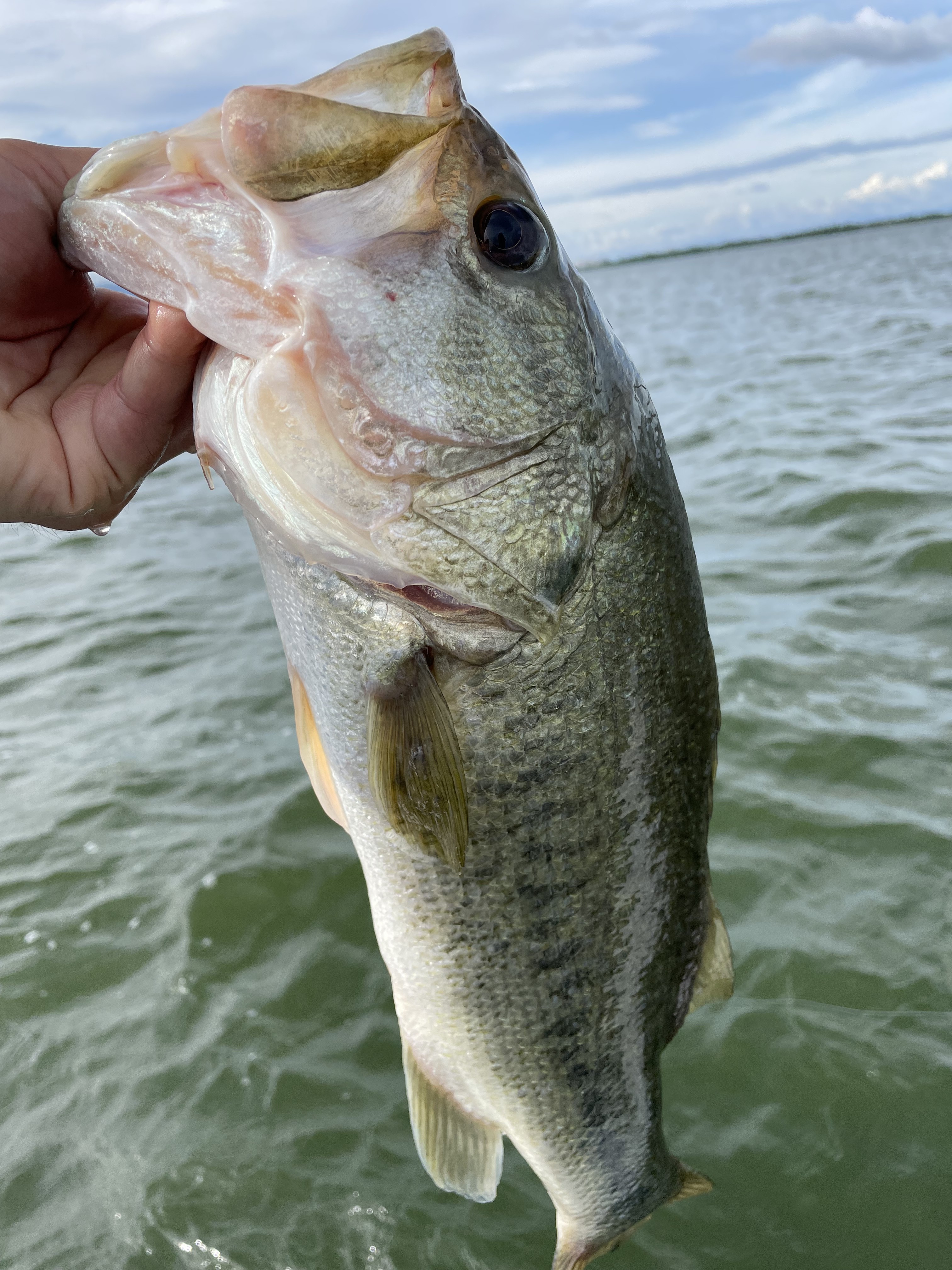 13A1E273-BA47-4A4A-B352-3763E5B280B9