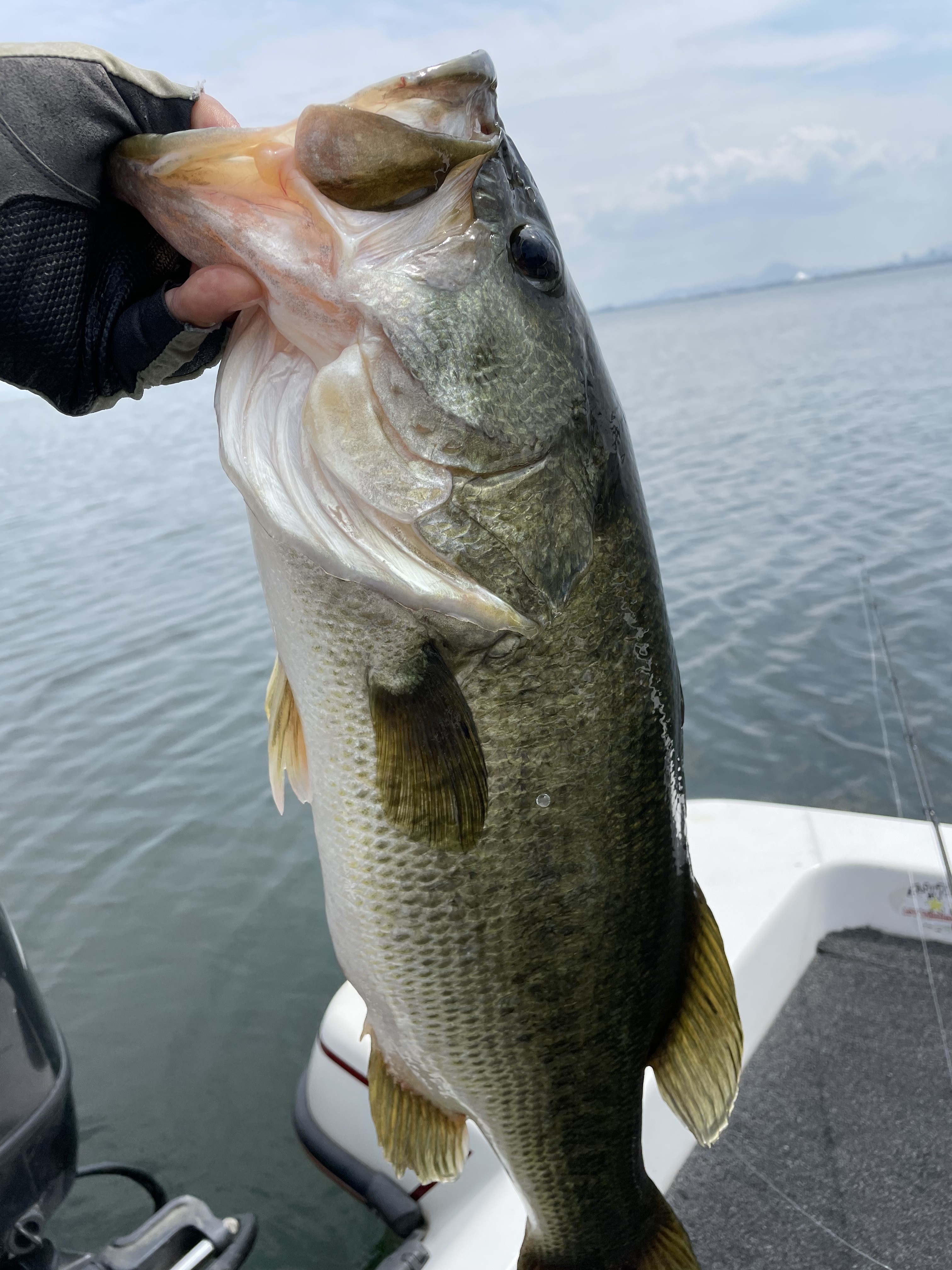 1A4E1438-388B-41E5-956B-8F2FCF80C444