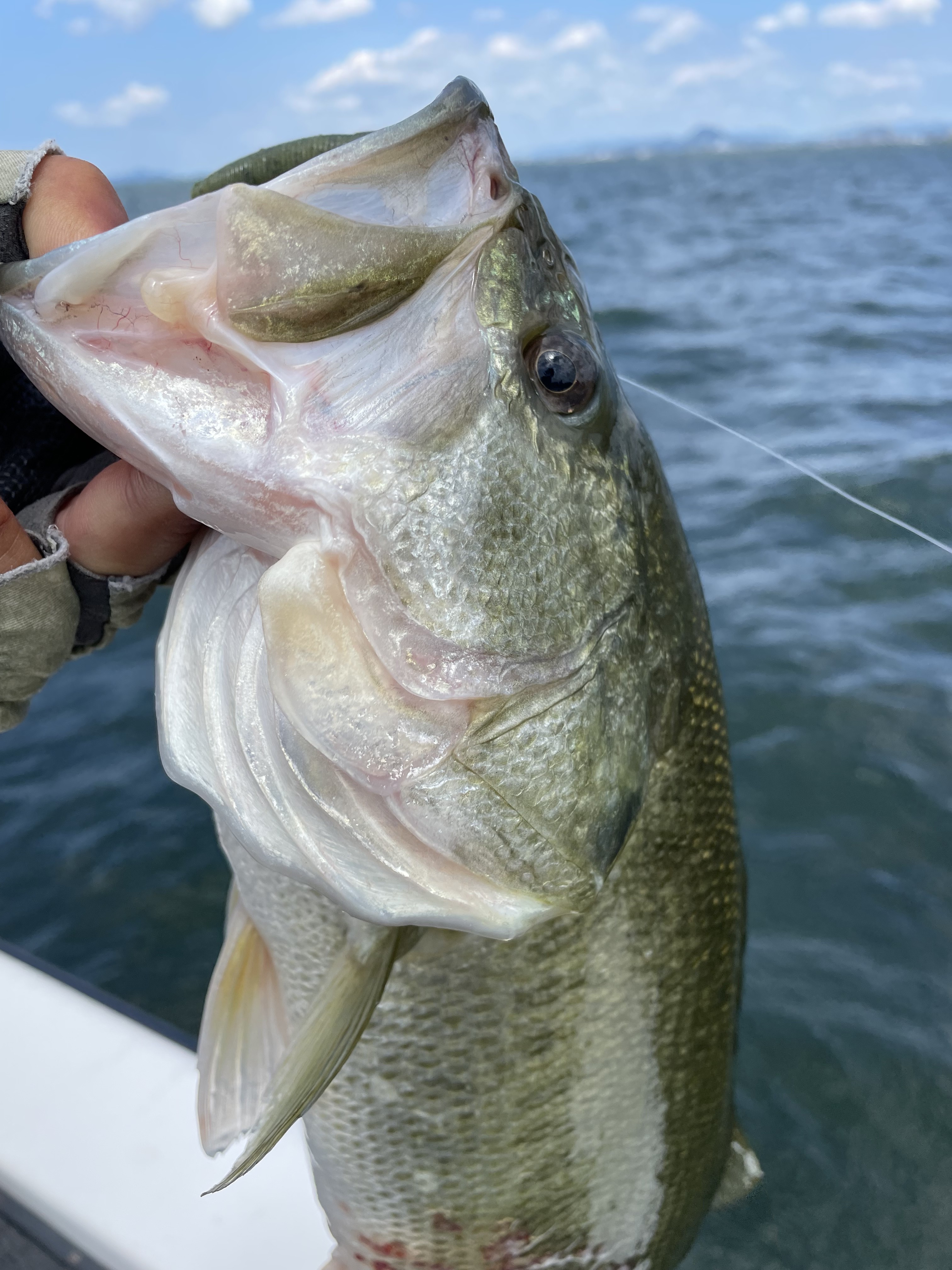 3D364ACE-42A7-4ACF-857E-F7DF0D813012