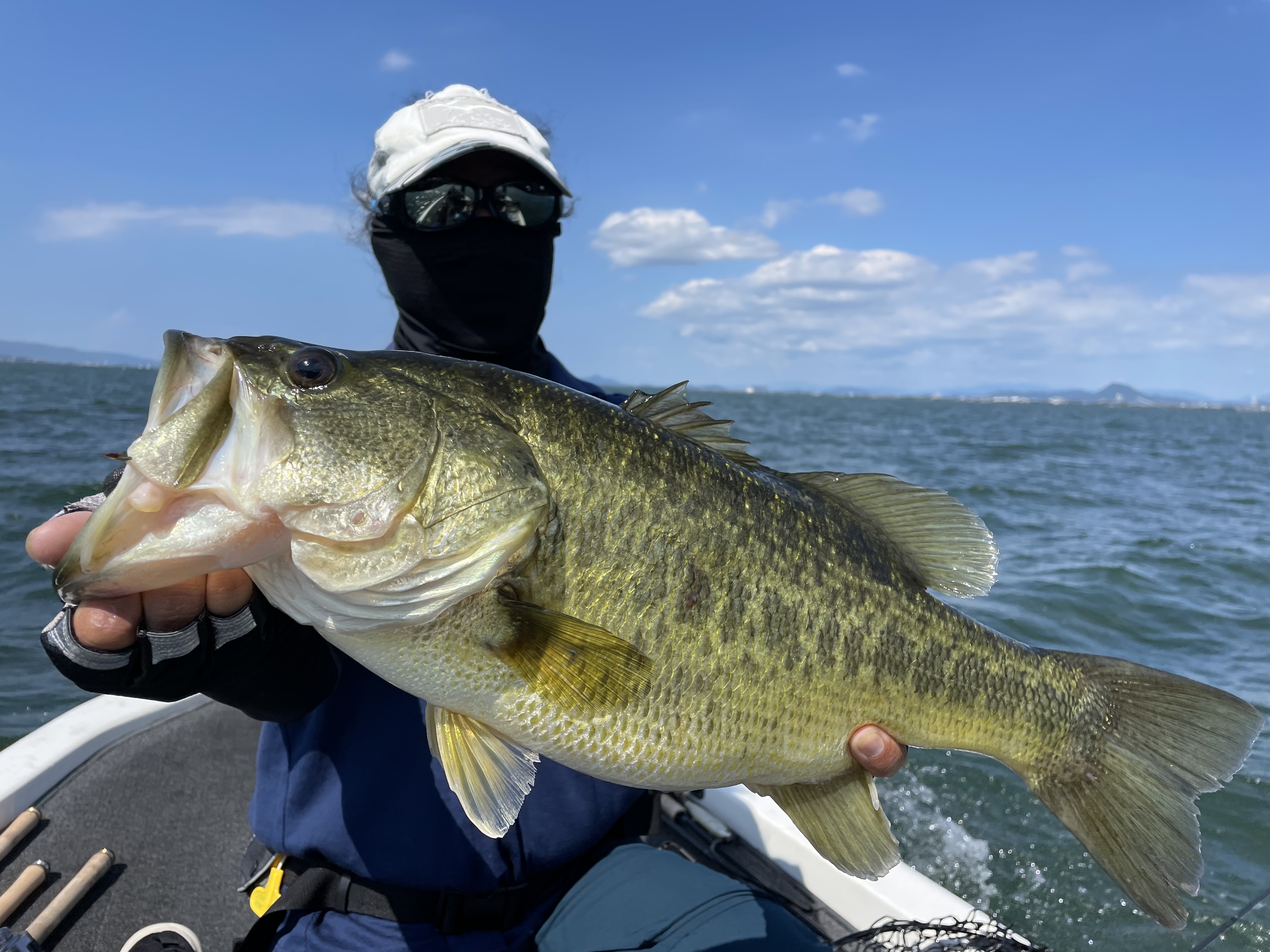 5BC0E42B-9846-46E4-BCF4-16DEA2439A8B