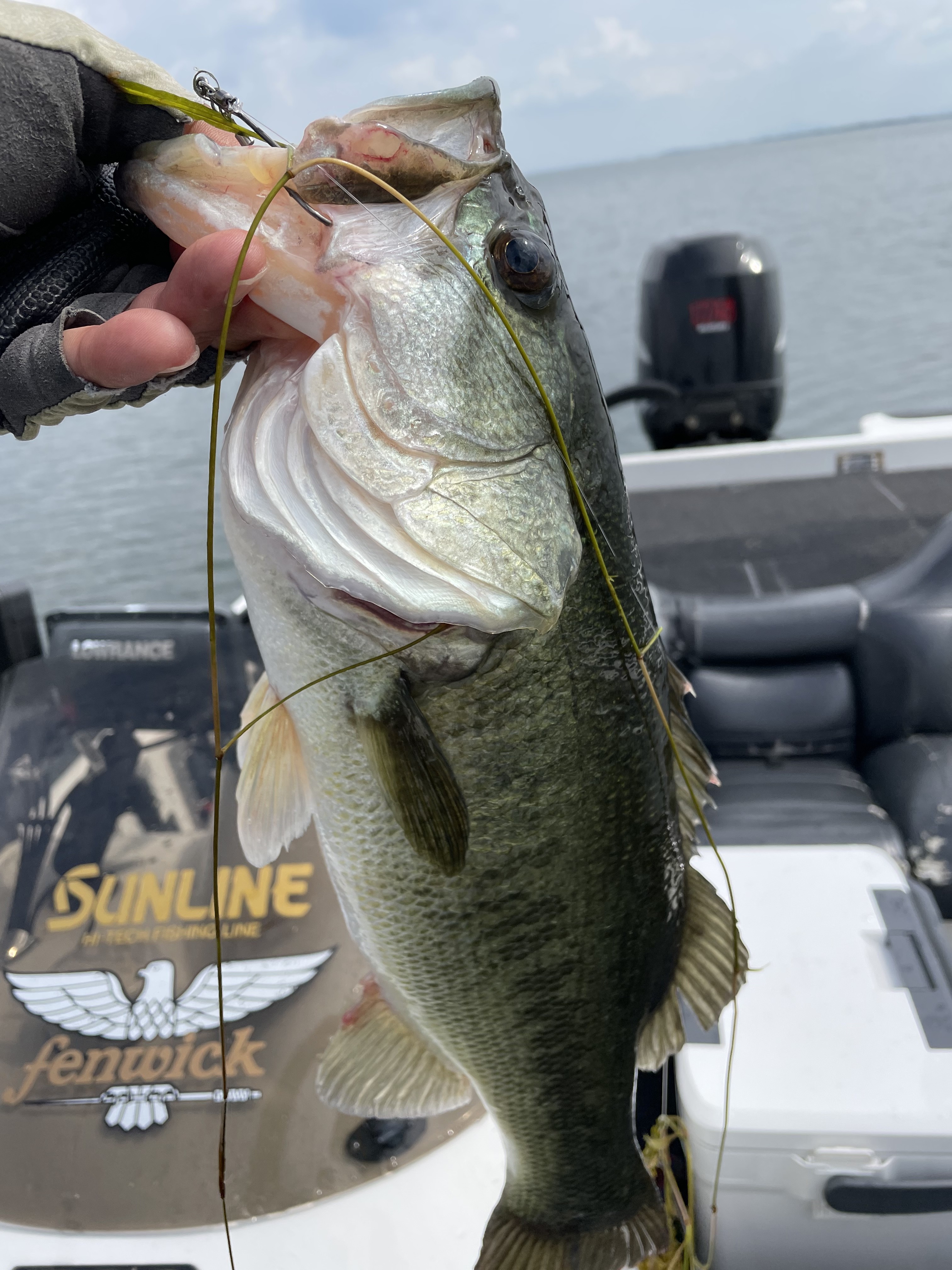 806DE7AF-CE44-46FF-9ECD-9C7424EB82E0